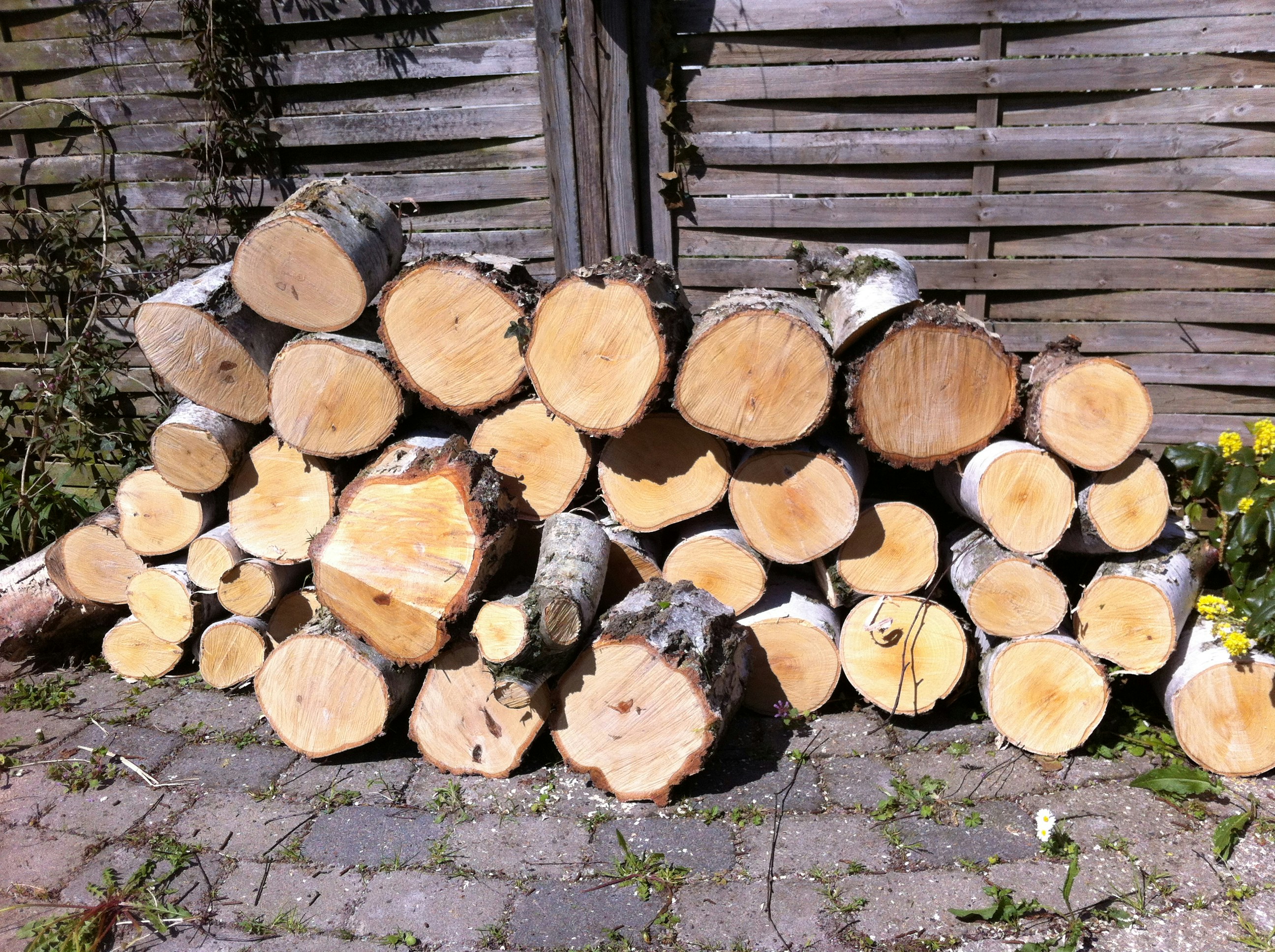 Free Unsplash photo from Poul Jeritslev