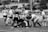 A group of women in rugby gear celebrating a hard-fought victory on the field.