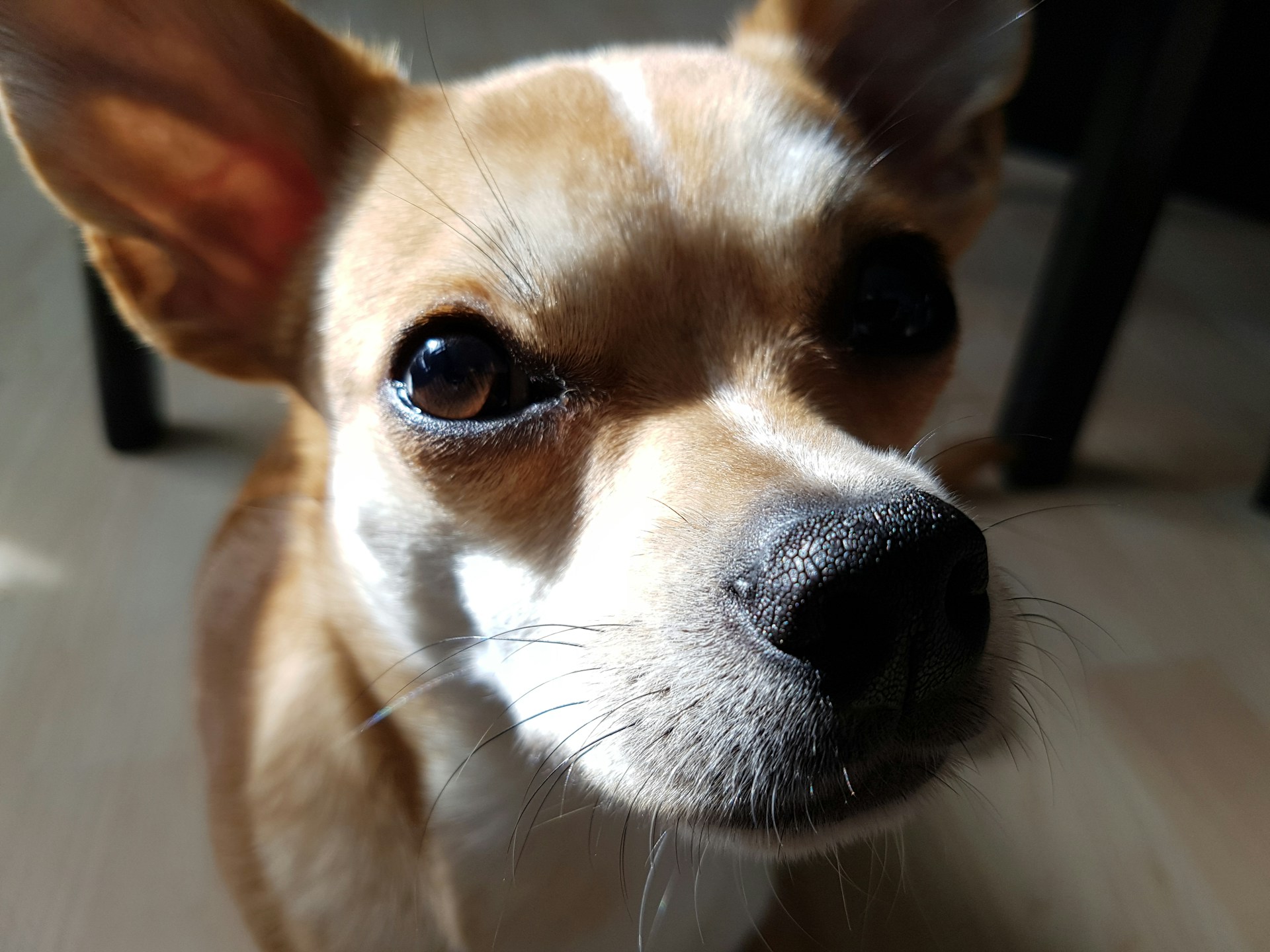 woman wearing yellow long-sleeved dress under white clouds and blue sky during daytime