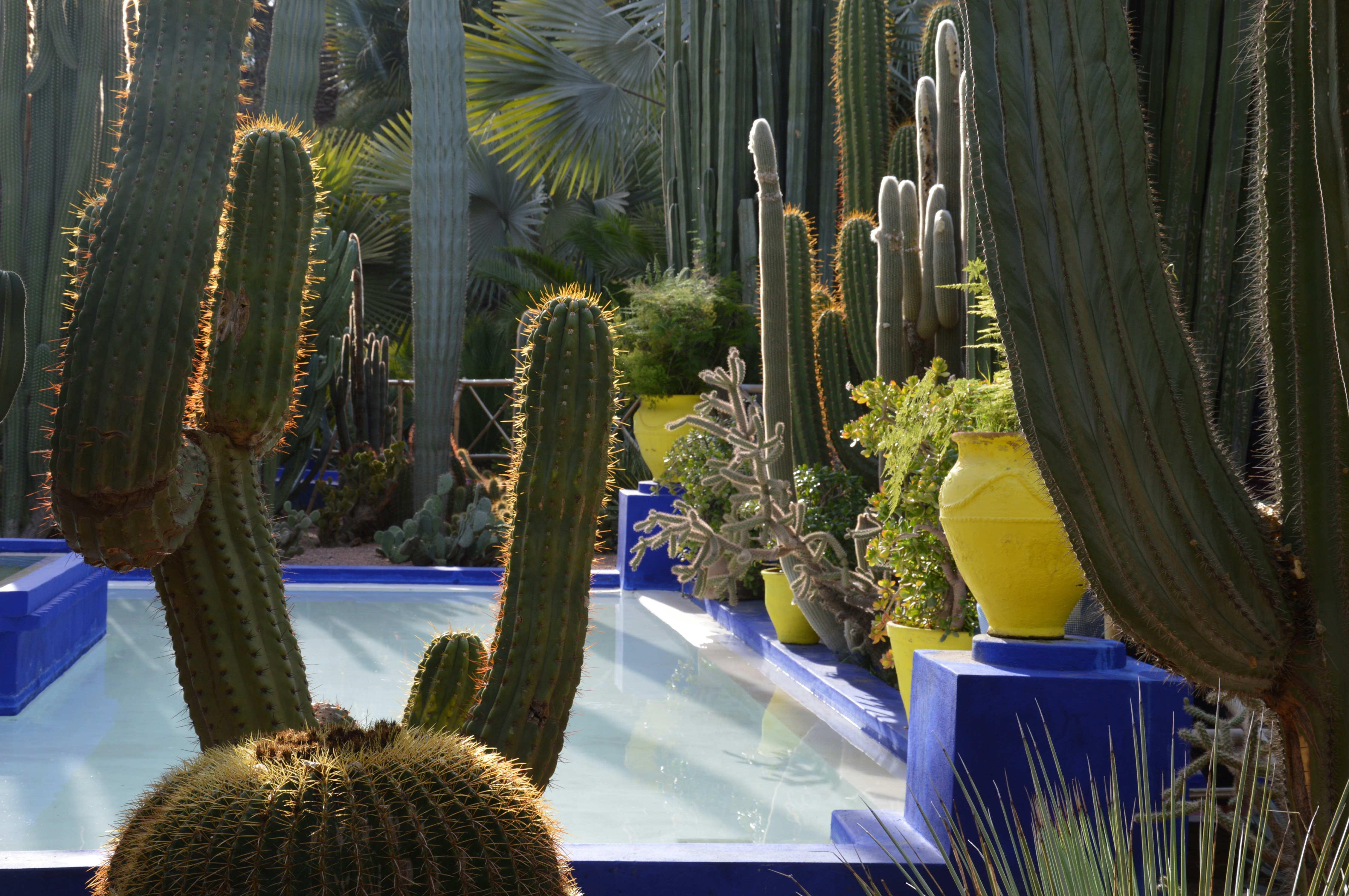 Free Unsplash photo from Chloe Fabre