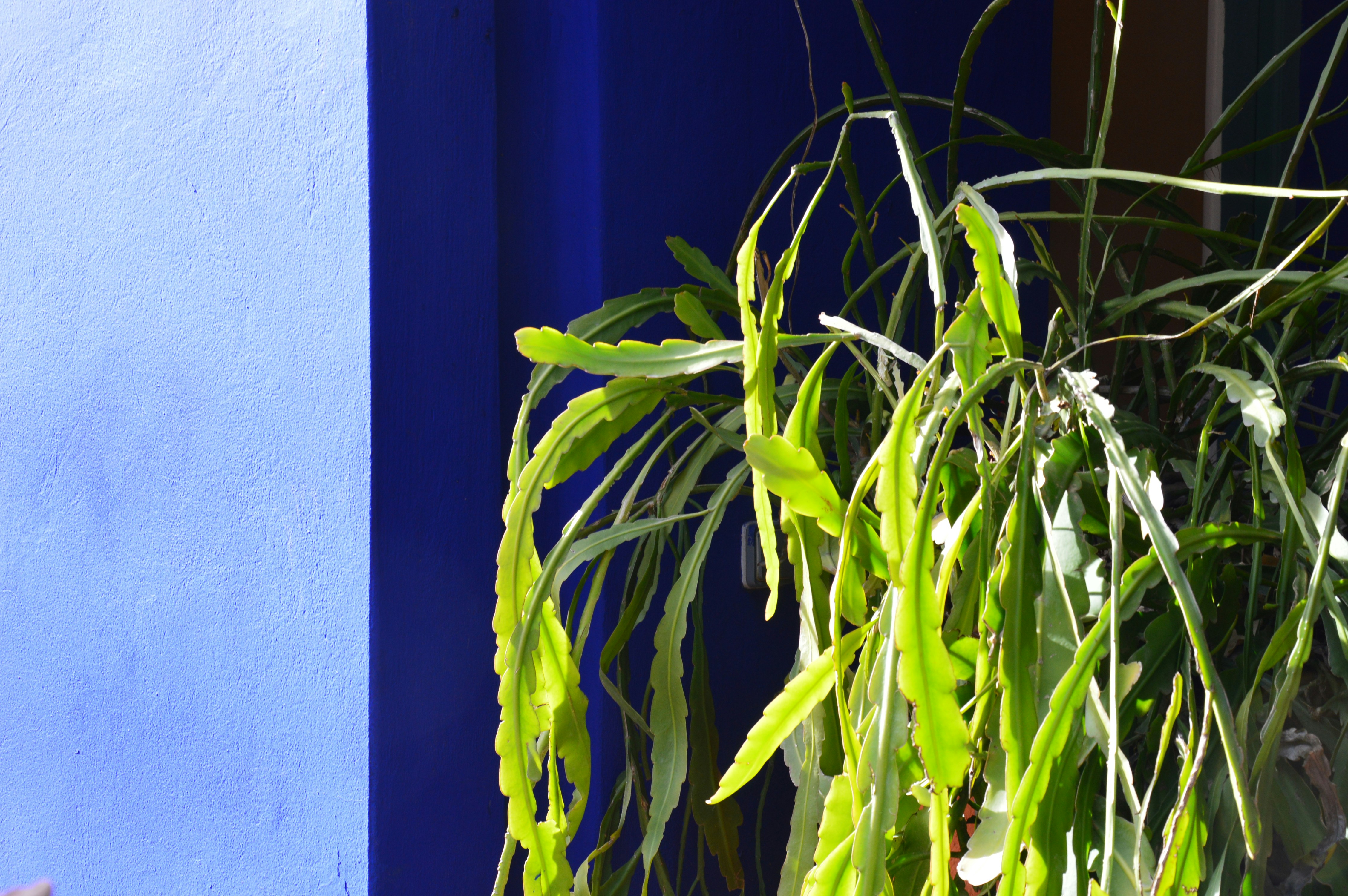 Free Unsplash photo from Chloe Fabre