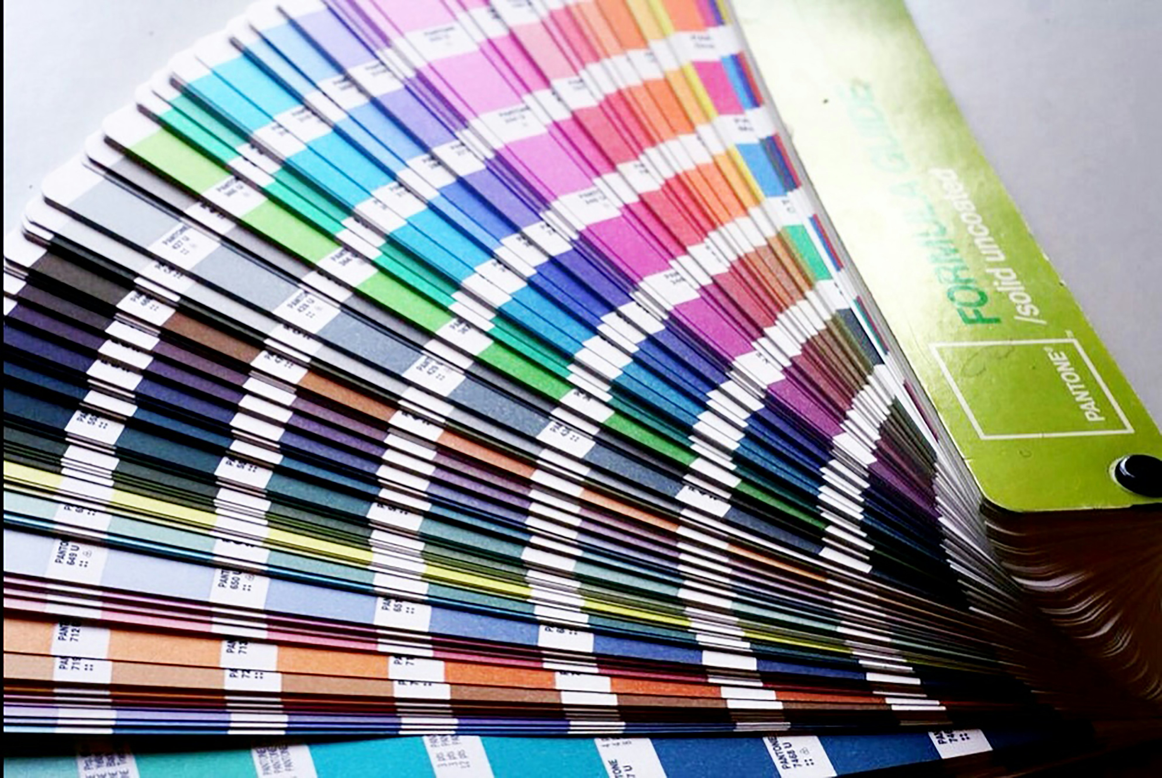 Cách Chọn Màu Sắc In Decal Phù Hợp Với Thương Hiệu Của Bạn