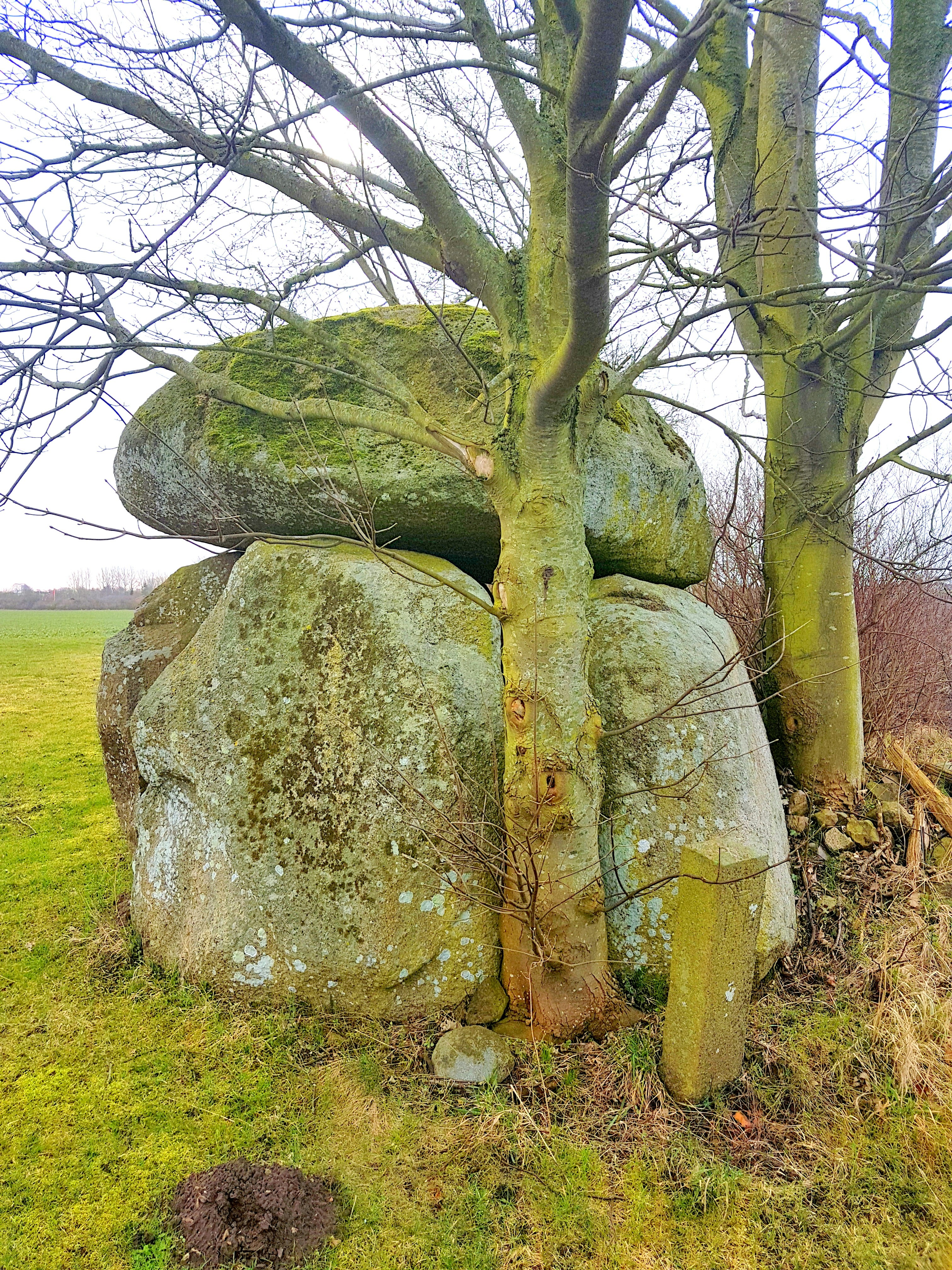 Free Unsplash photo from Asgeir Pall Juliusson