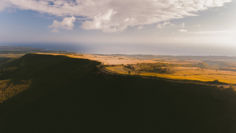 Foto di paesaggio di un albero alto vicino e di un campo di erba gialla durante il giorno