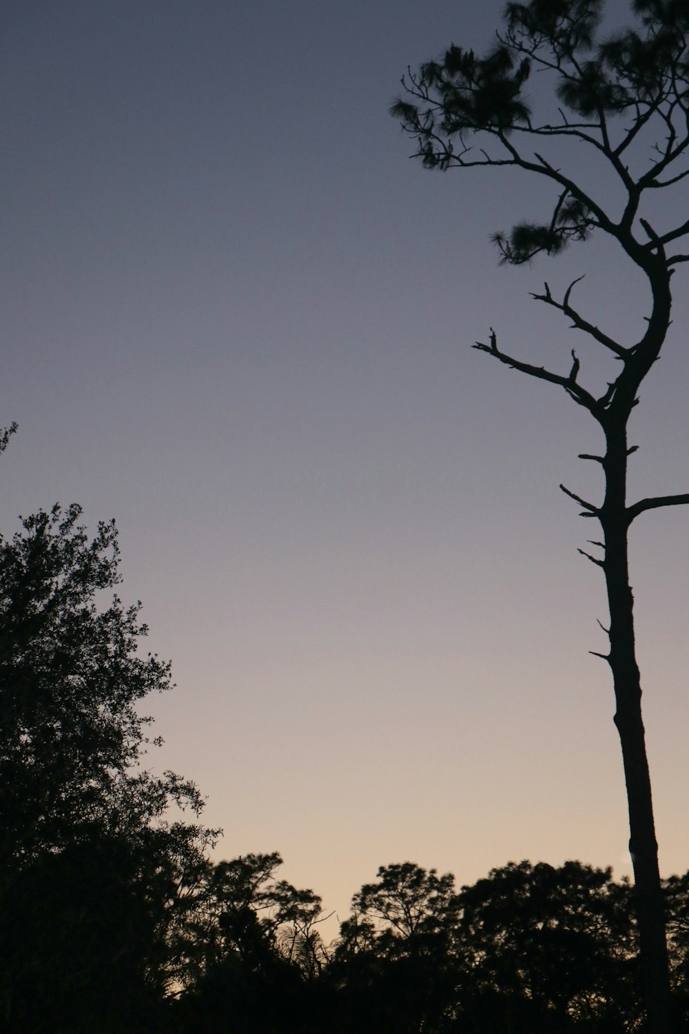 Free Mead Botanical Garden Image On Unsplash