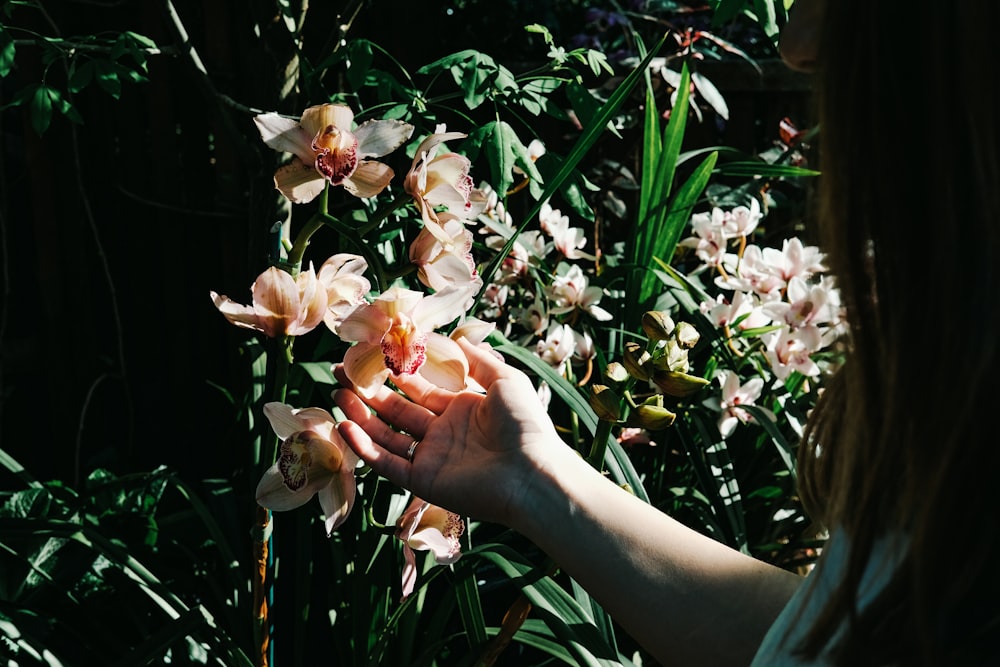 pessoa segurando flor de pétalas brancas