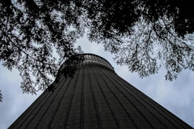 A towering industrial structure resembling a cooling tower is viewed from below, surrounded by the silhouettes of tree branches. The sky appears overcast, adding a stark contrast to the dark outlines of the leaves and the structure's surface.