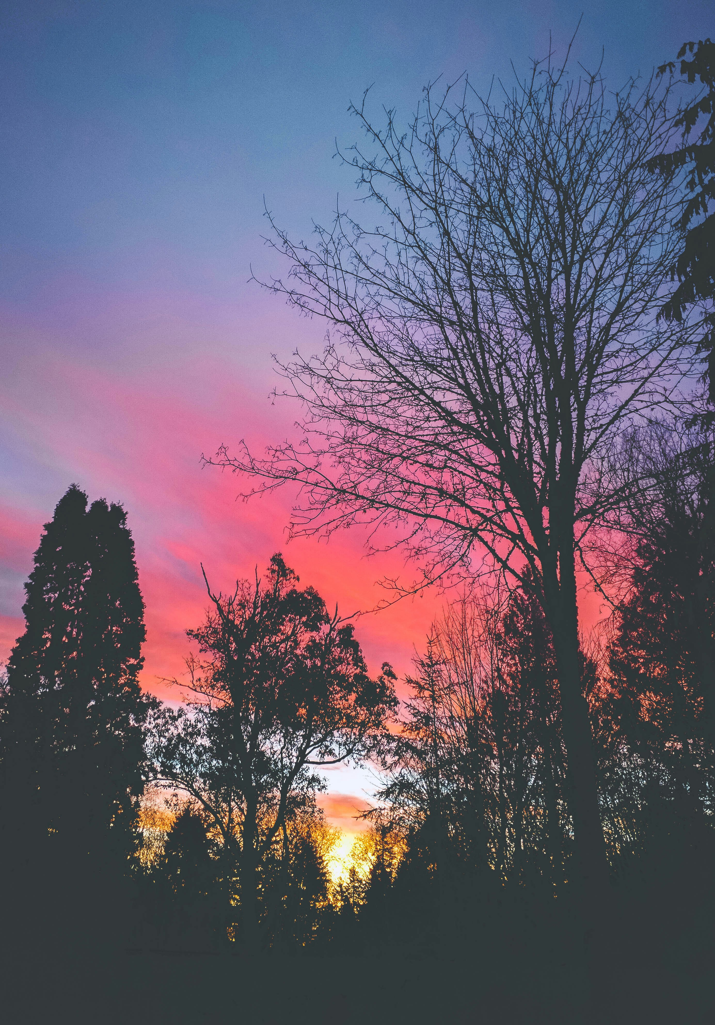 Free Unsplash photo from Aidan Brown