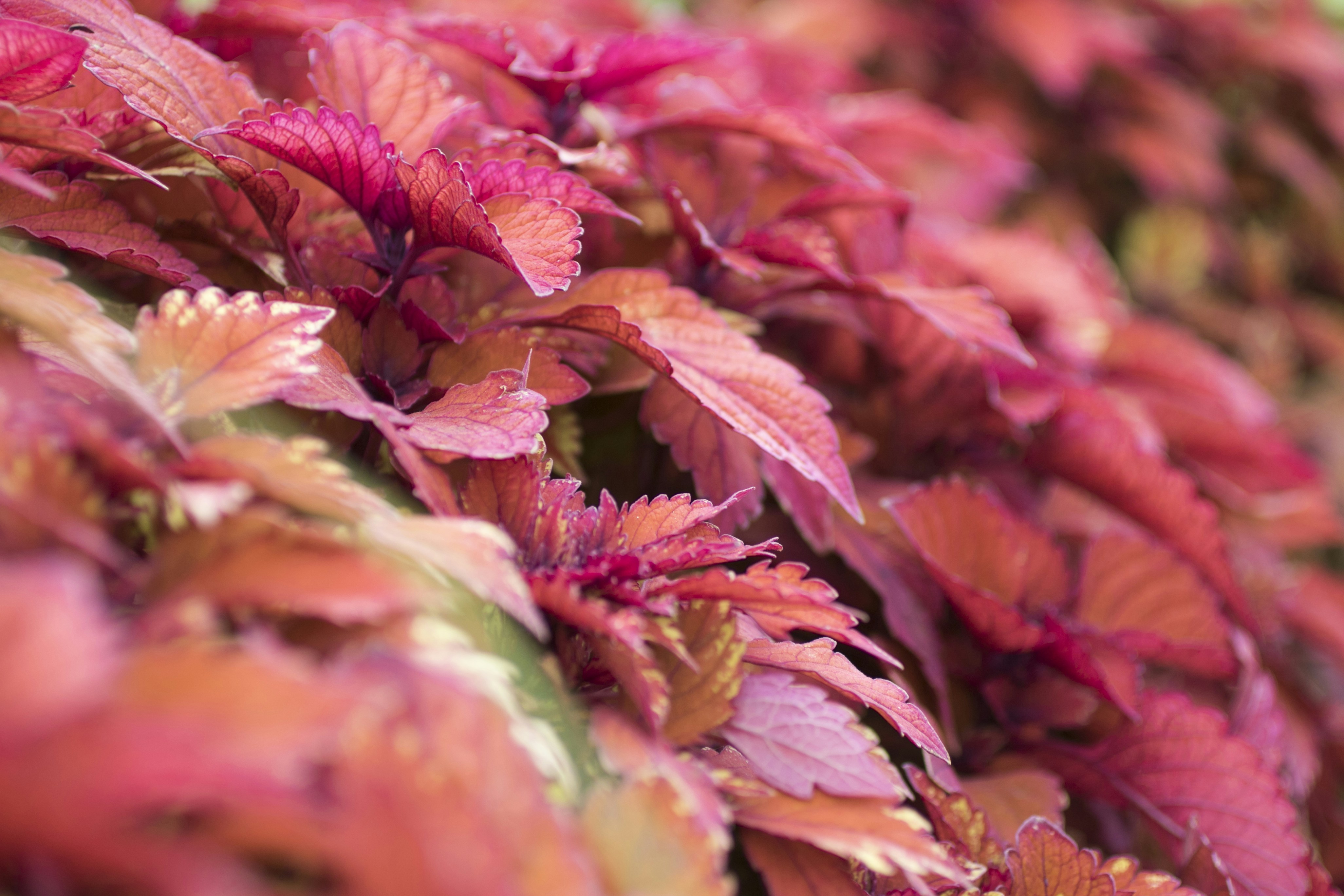 Free Unsplash photo from Katharina Dielenhein