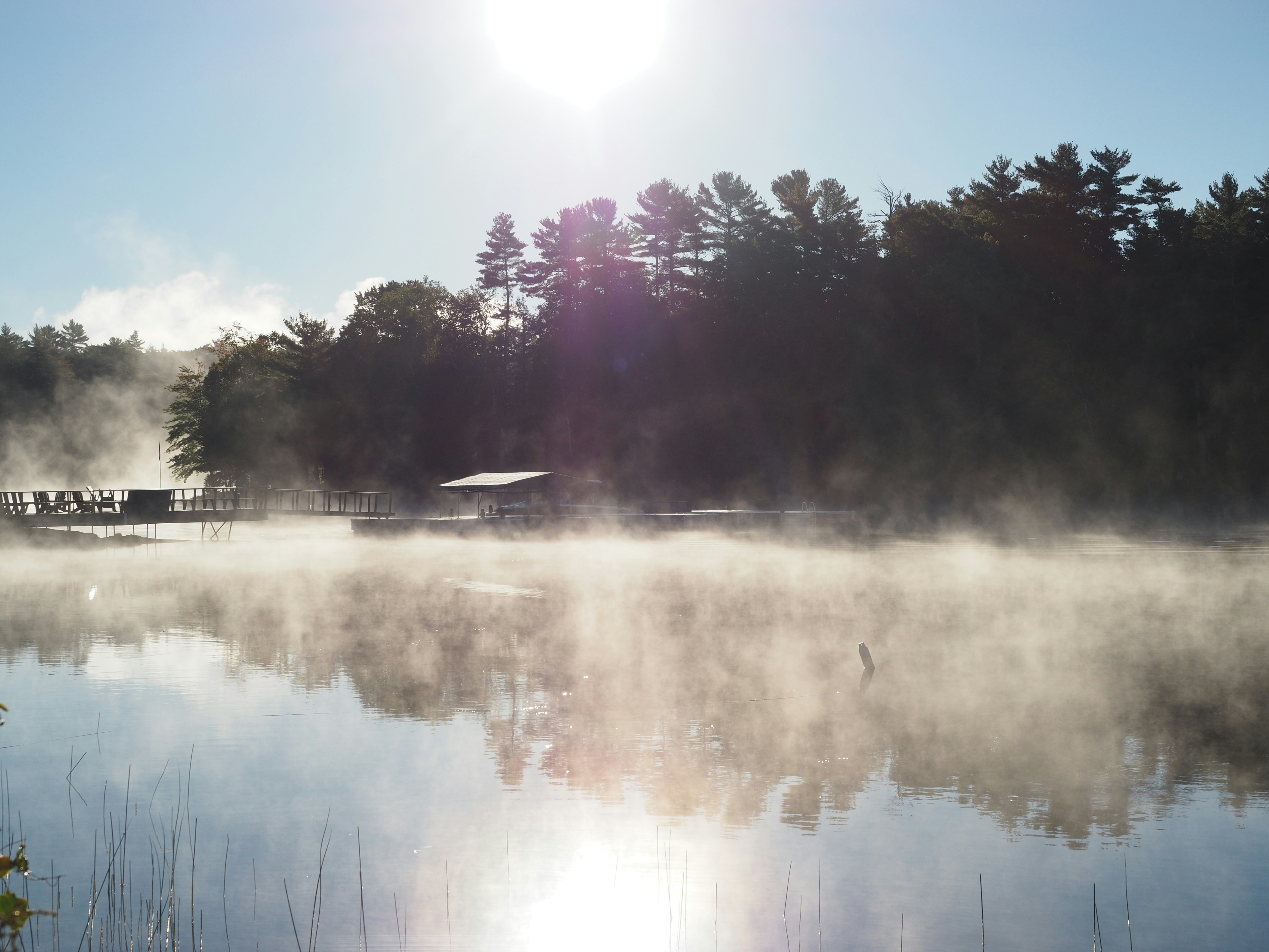 Free Unsplash photo from Greg McDonald