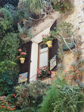 Finished plantation shutters framing a sunlit window with greenery outside.