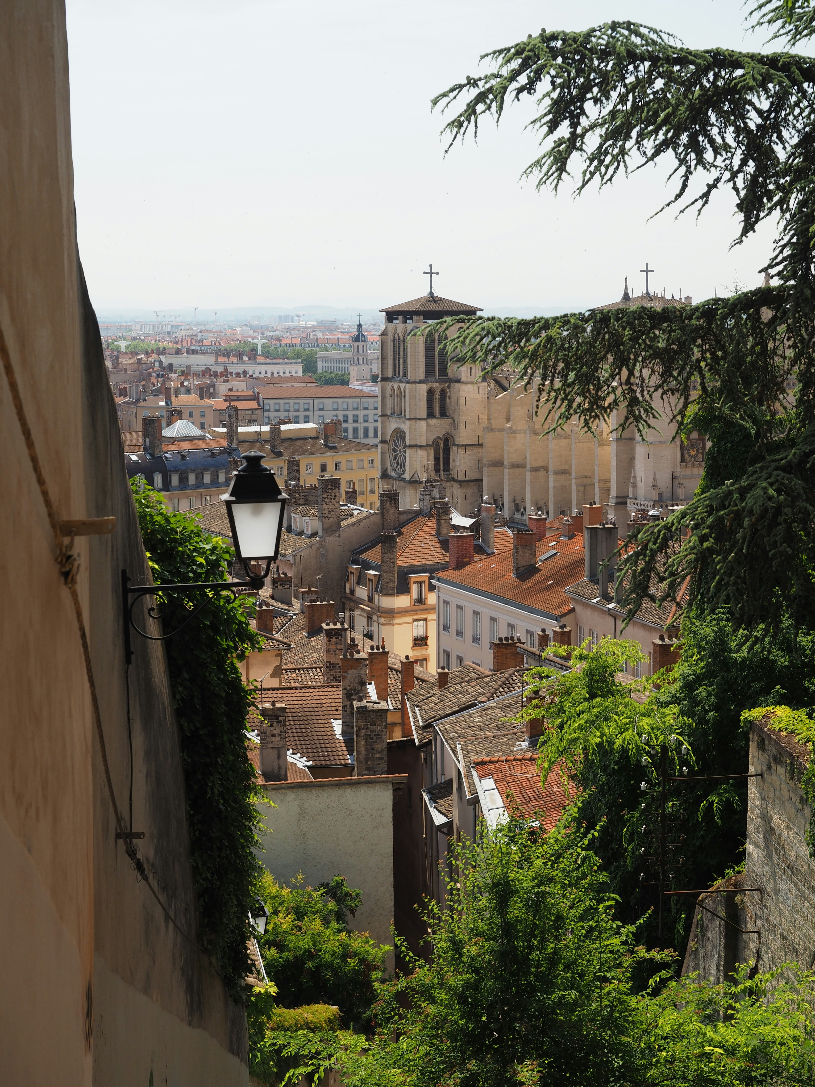 Free Unsplash photo from Greg McDonald