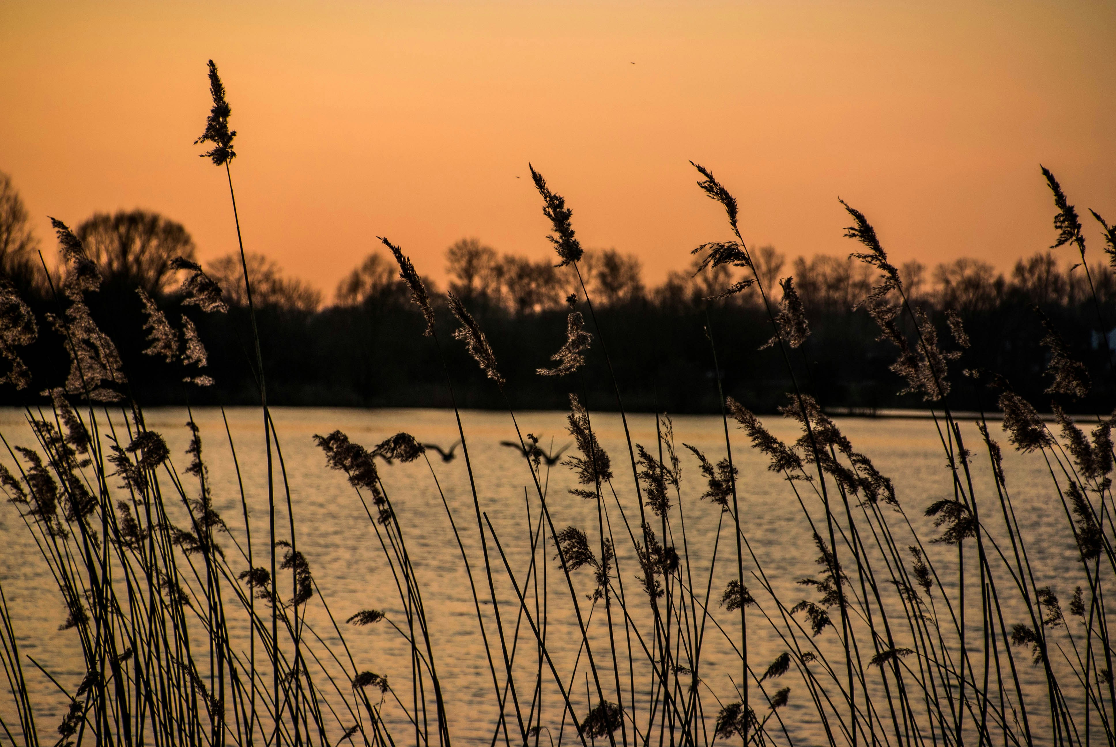 Free Unsplash photo from Wout Vanacker