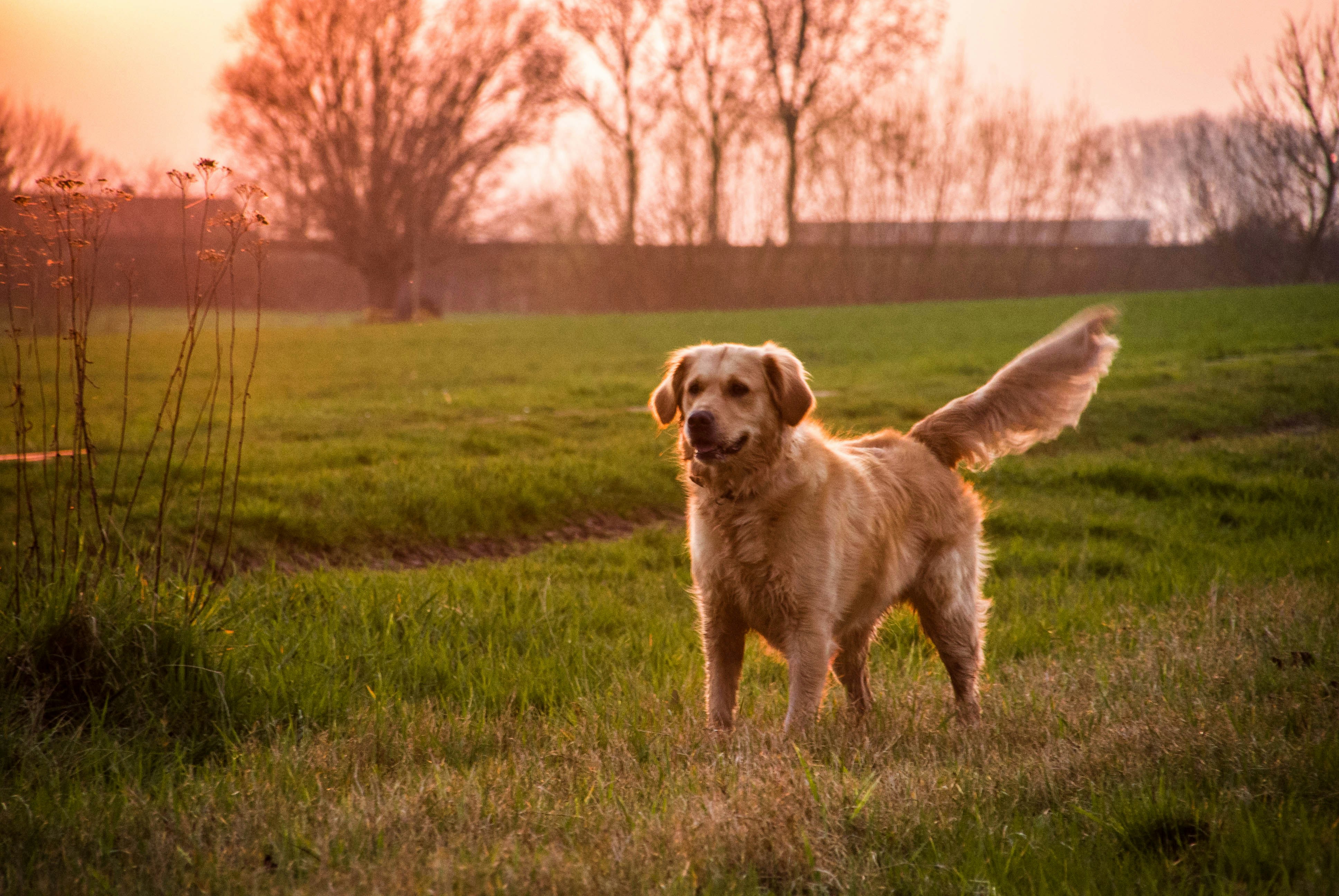 Free Unsplash photo from Wout Vanacker