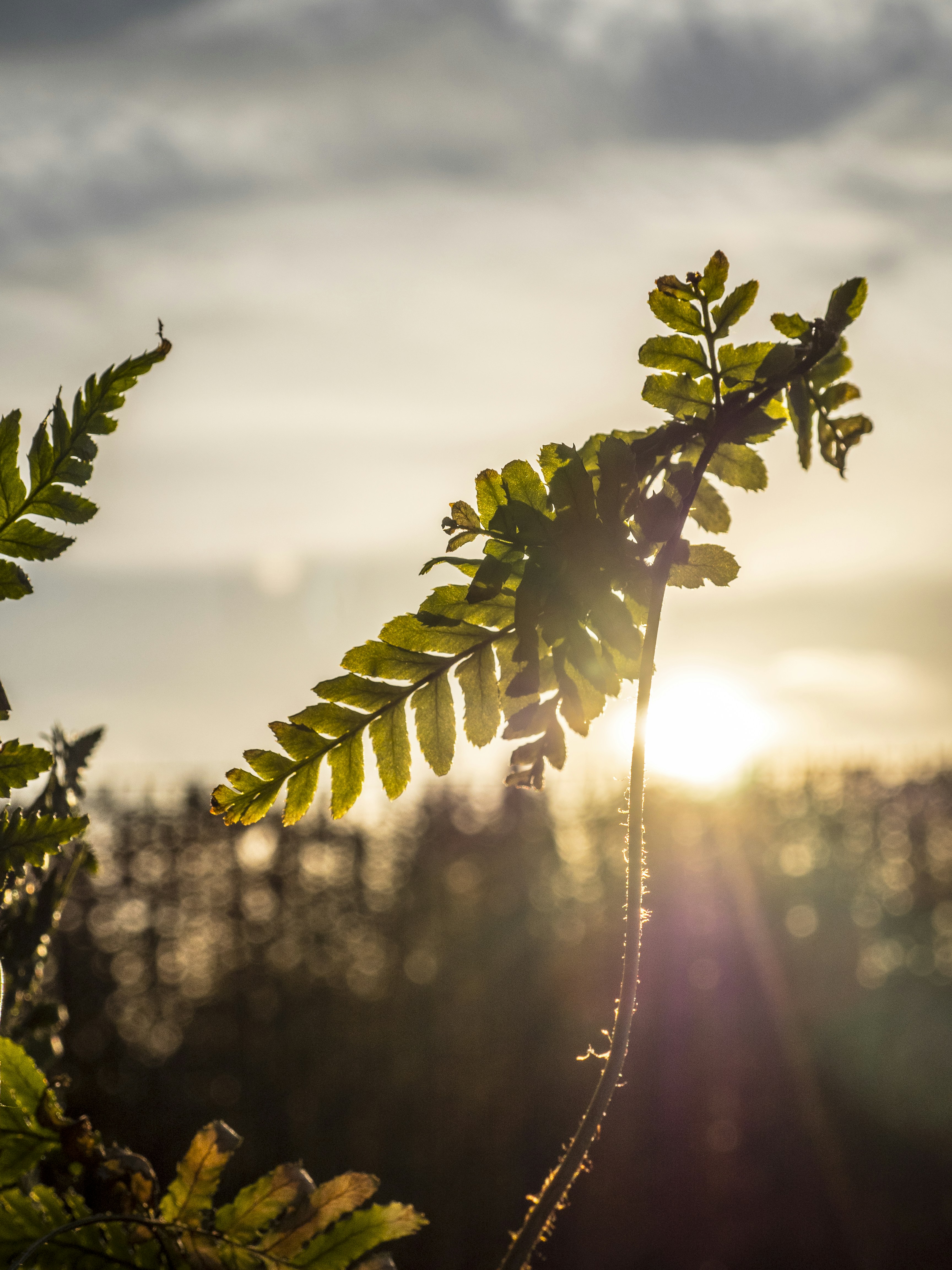 Free Unsplash photo from Alma PhotoStock