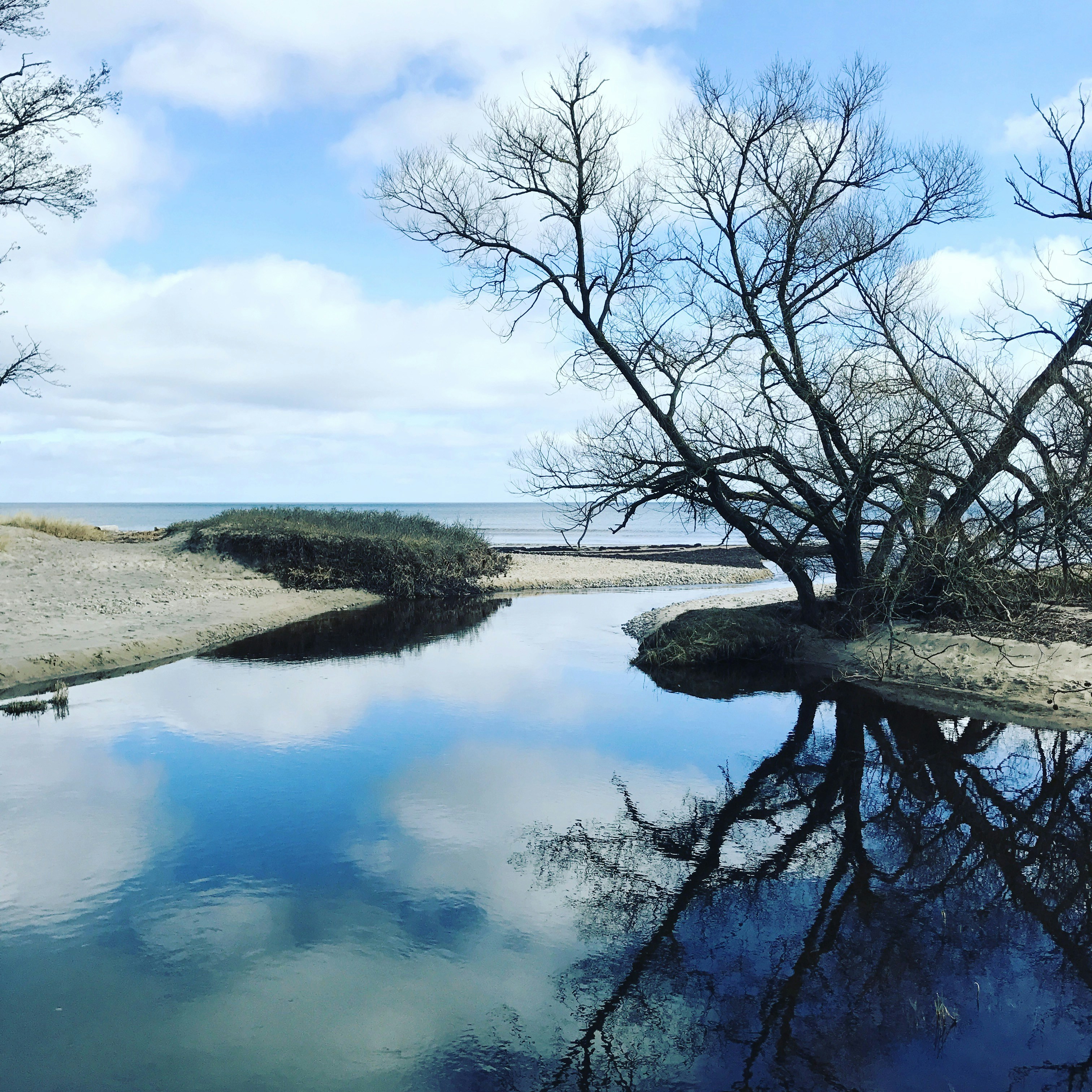 Free Unsplash photo from Jonas Vesterberg