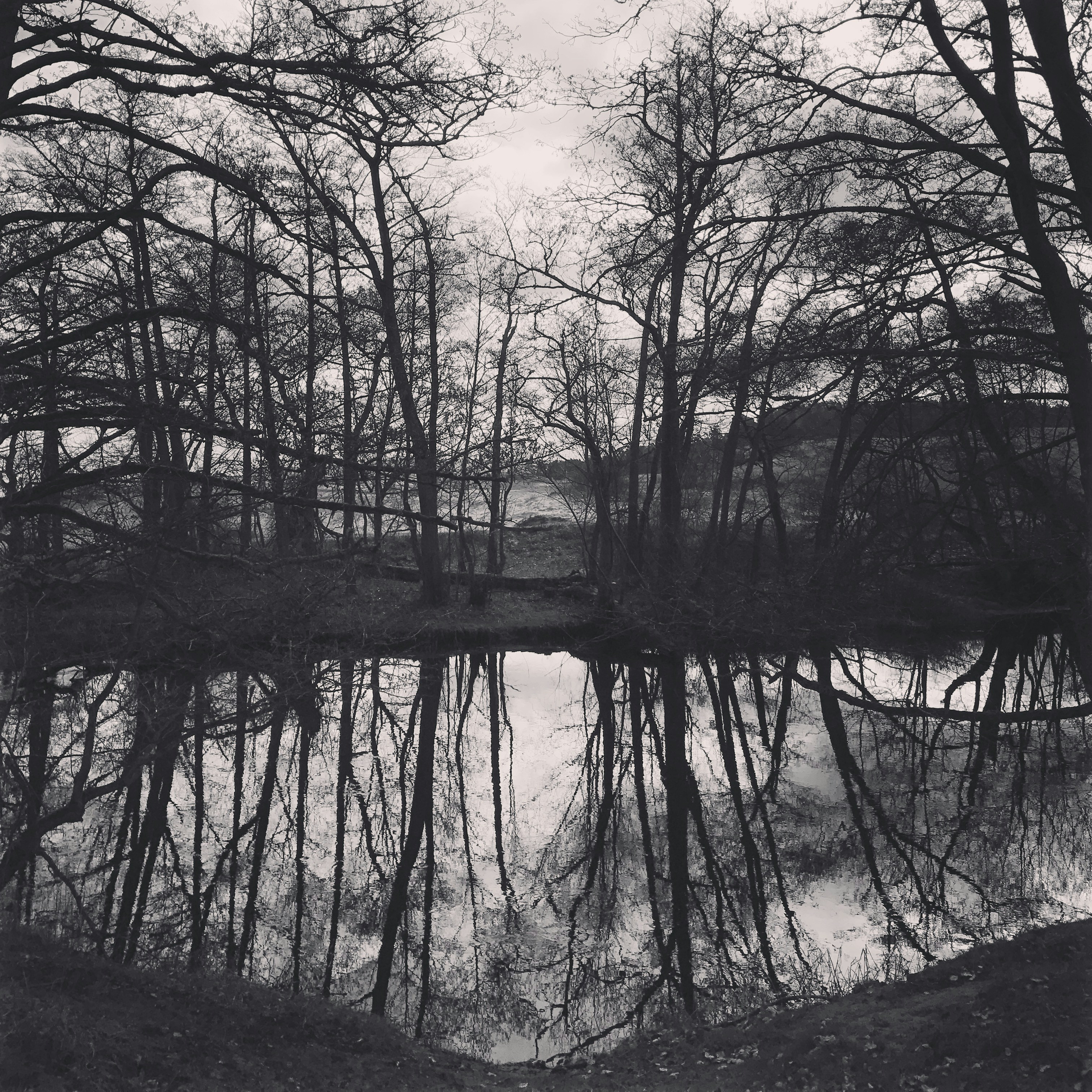 Free Unsplash photo from Jonas Vesterberg