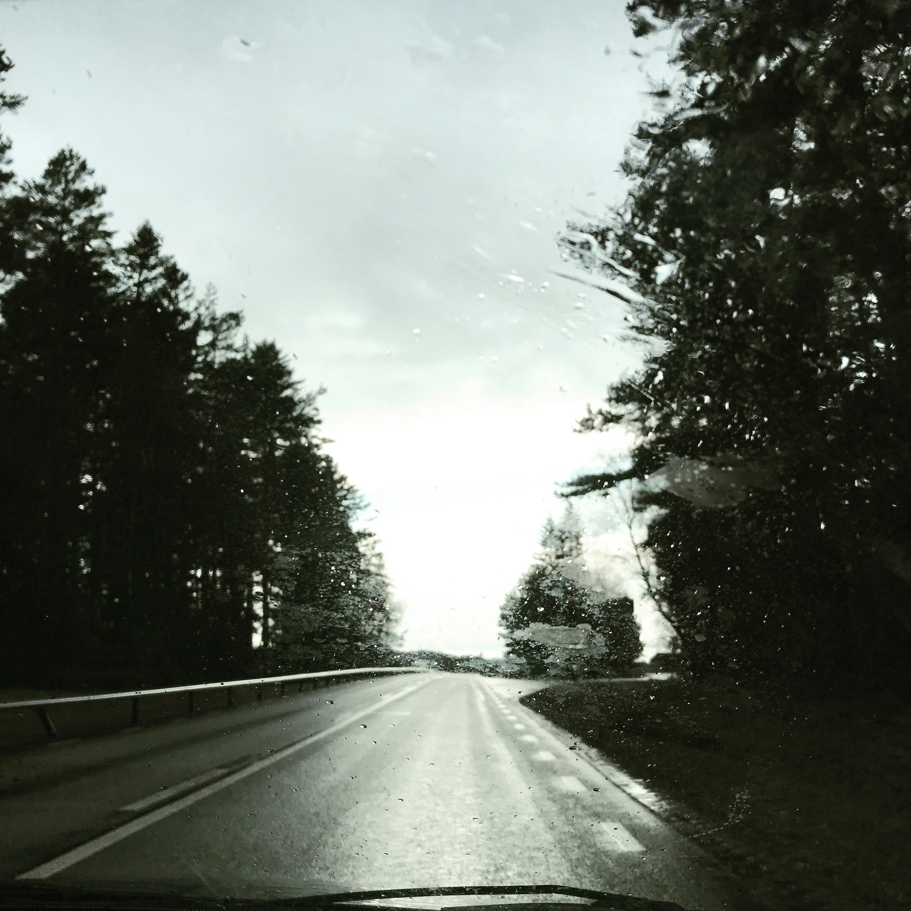 Free Unsplash photo from Jonas Vesterberg