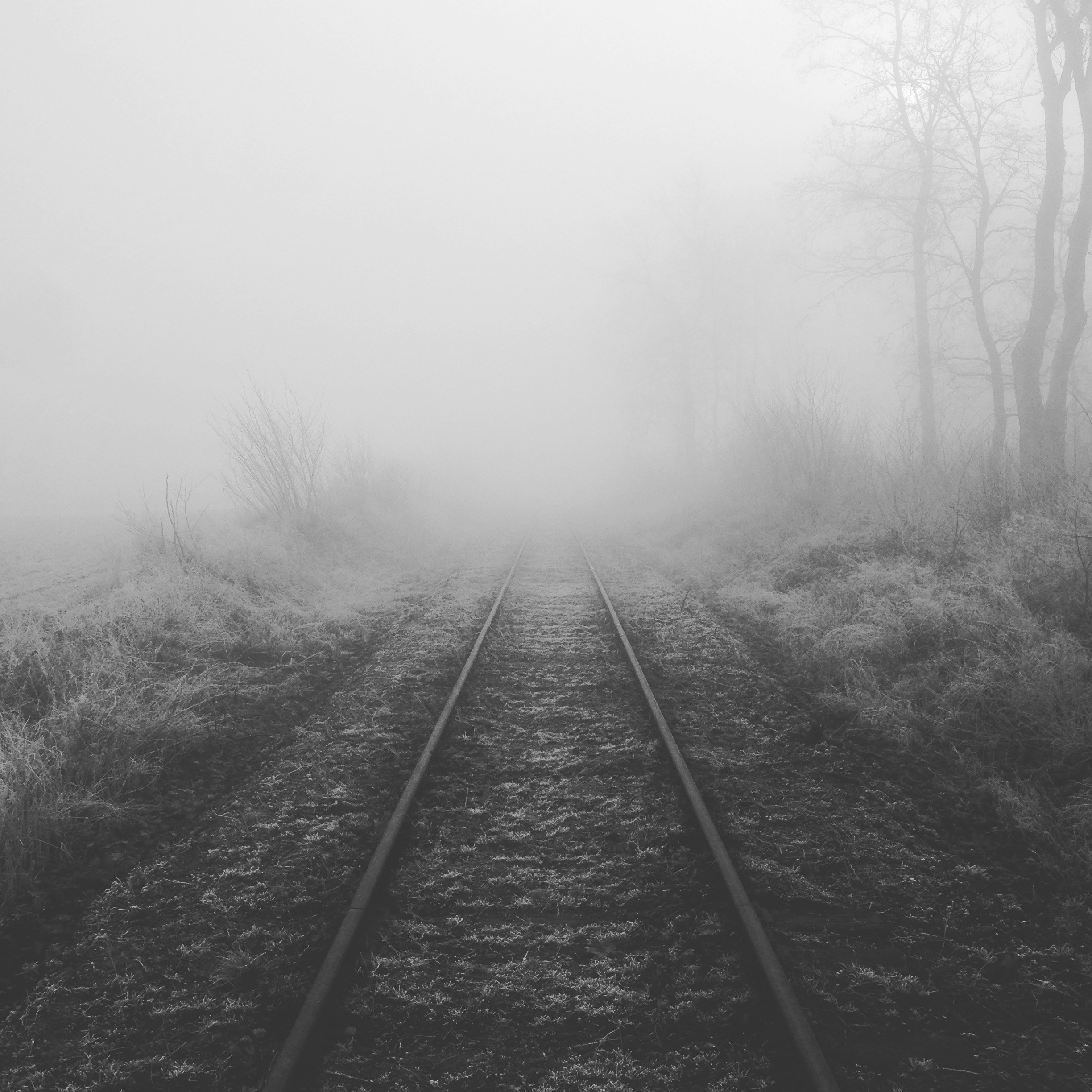 Free Unsplash photo from Jonas Vesterberg