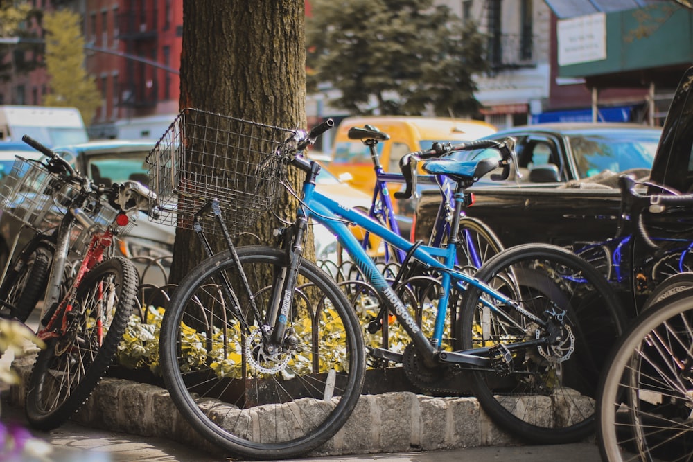 blue bike leaning on tre