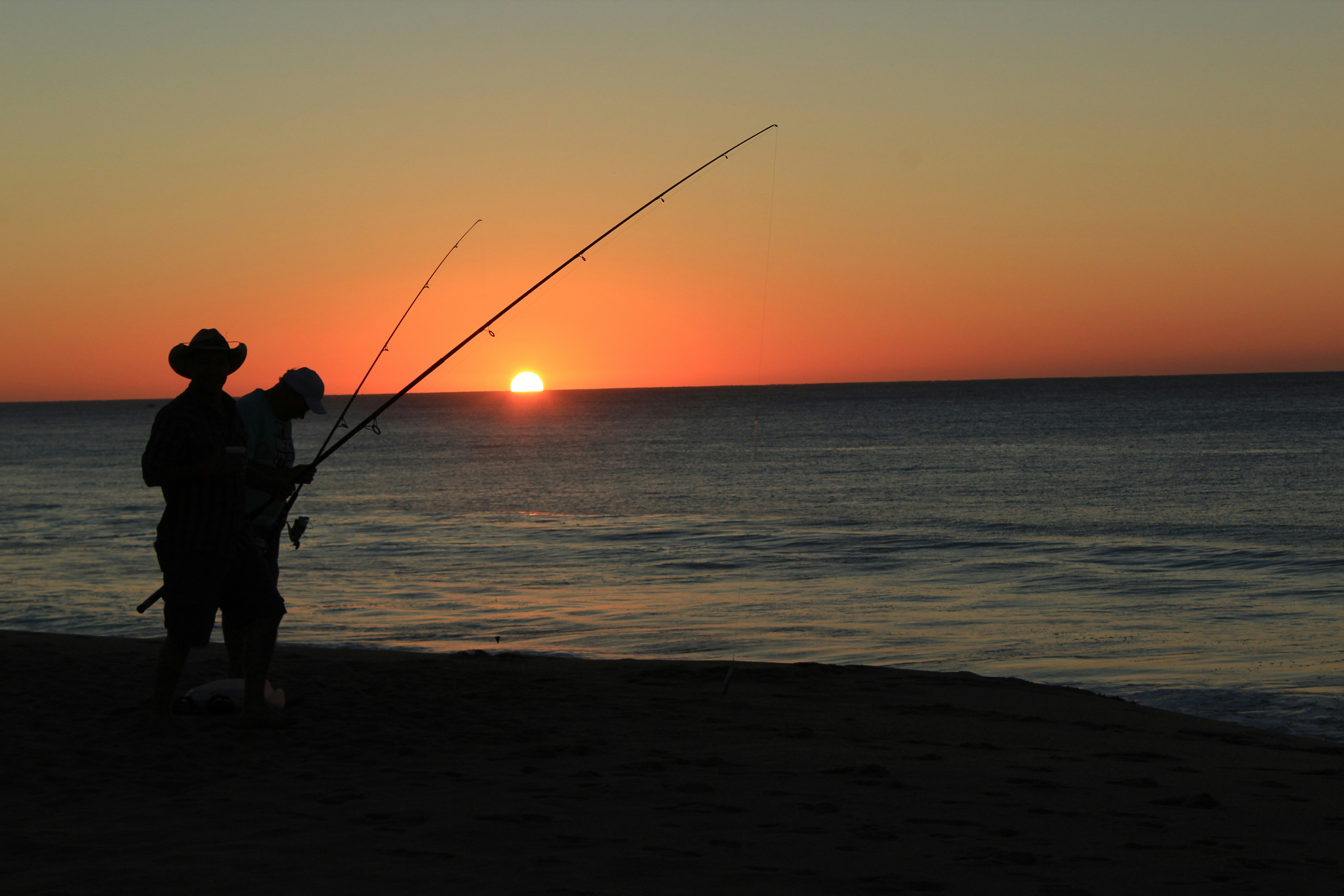 Free Unsplash photo from Rod Stamler