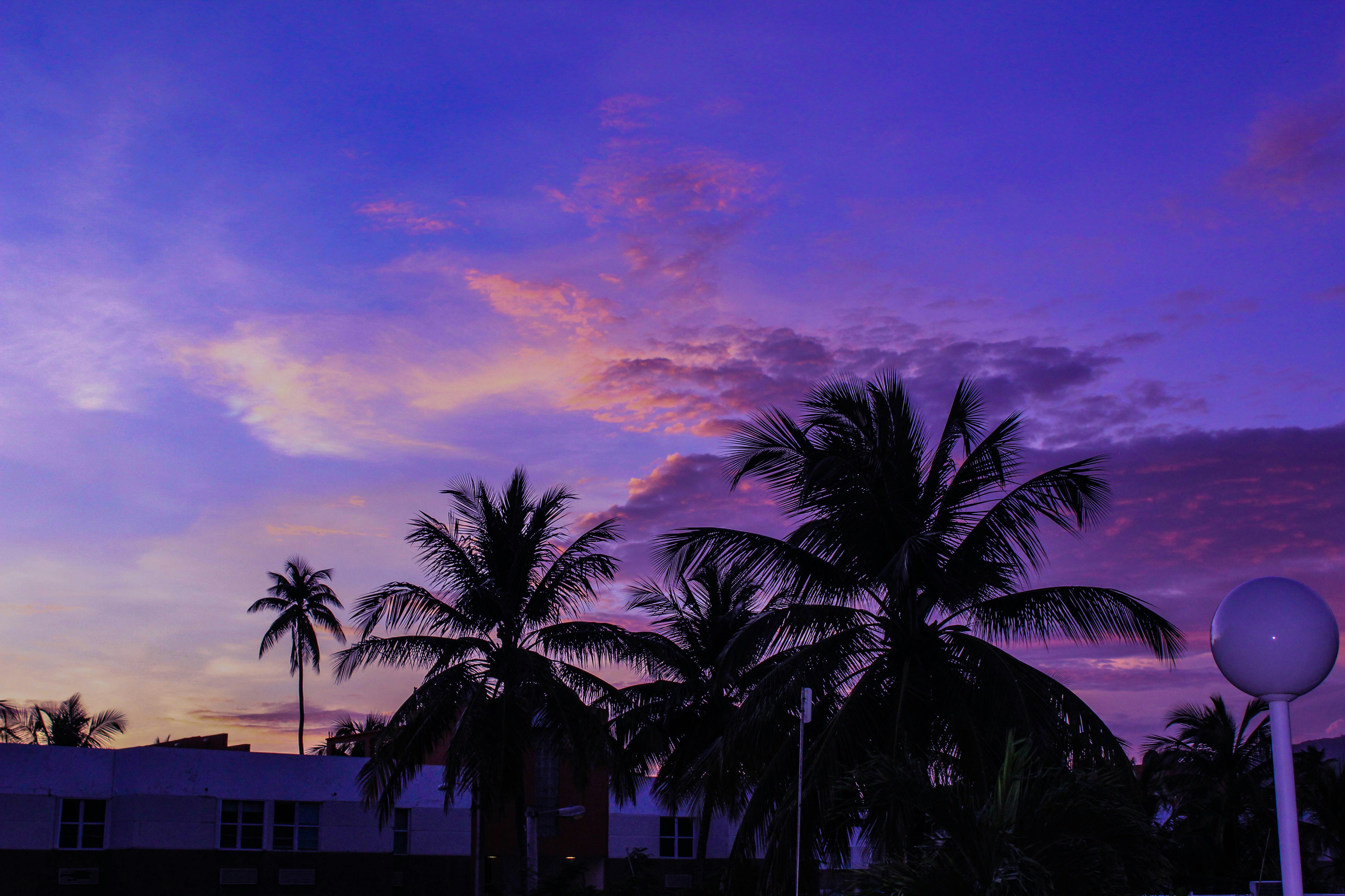 Free Unsplash photo from Juan  Martinez