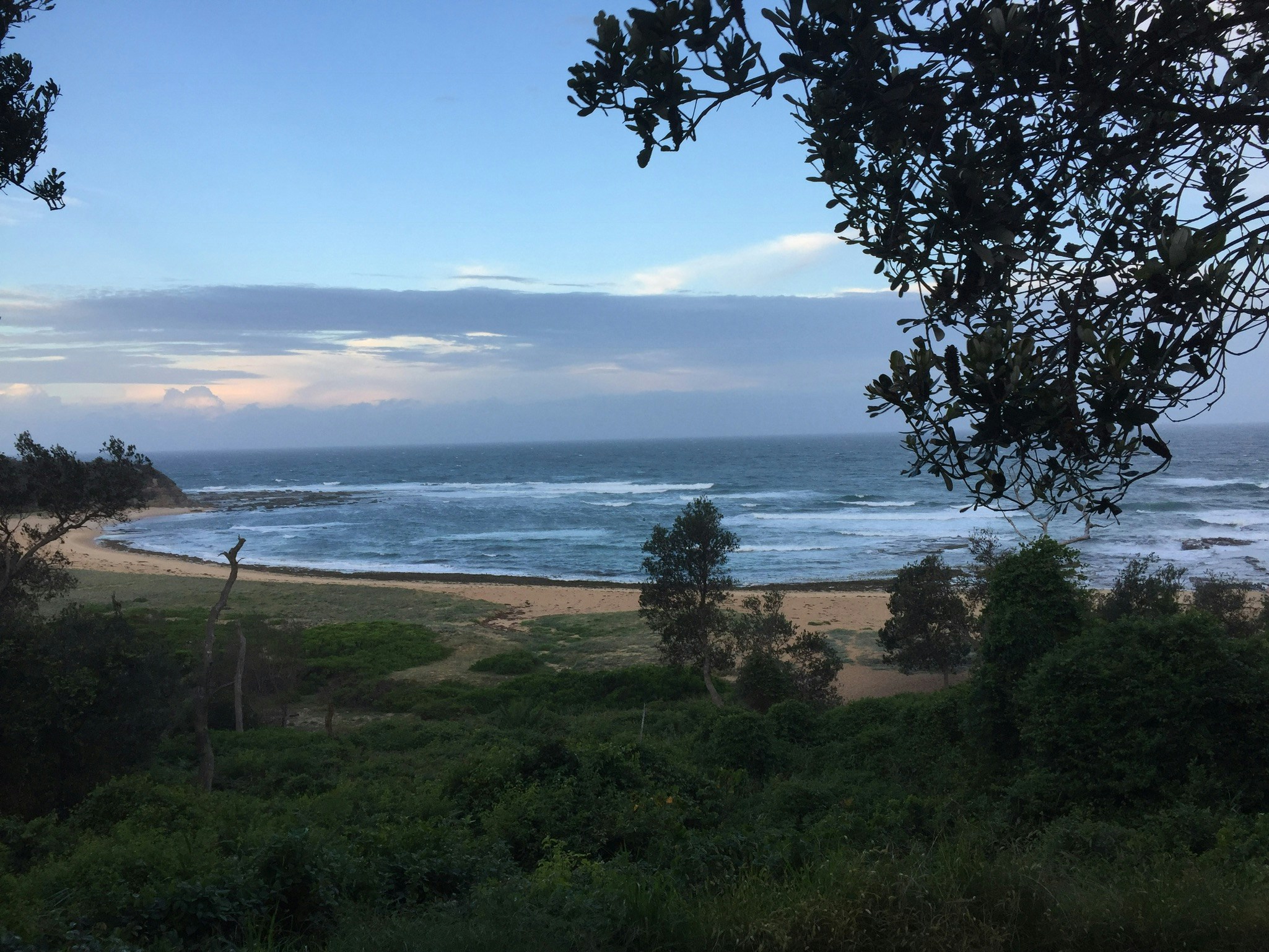 Free Unsplash photo from Bernardine Devine