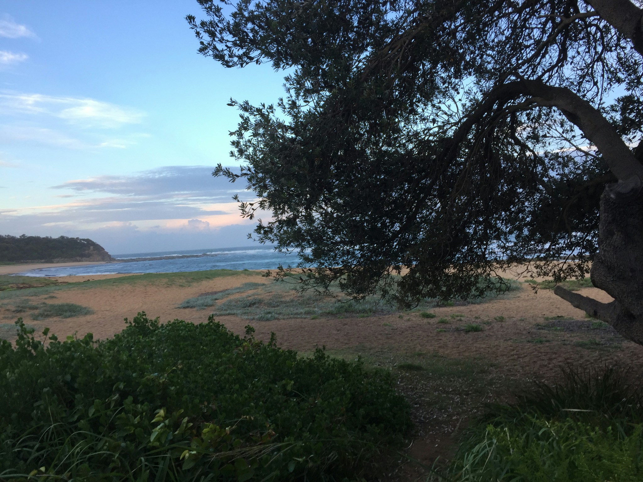 Free Unsplash photo from Bernardine Devine