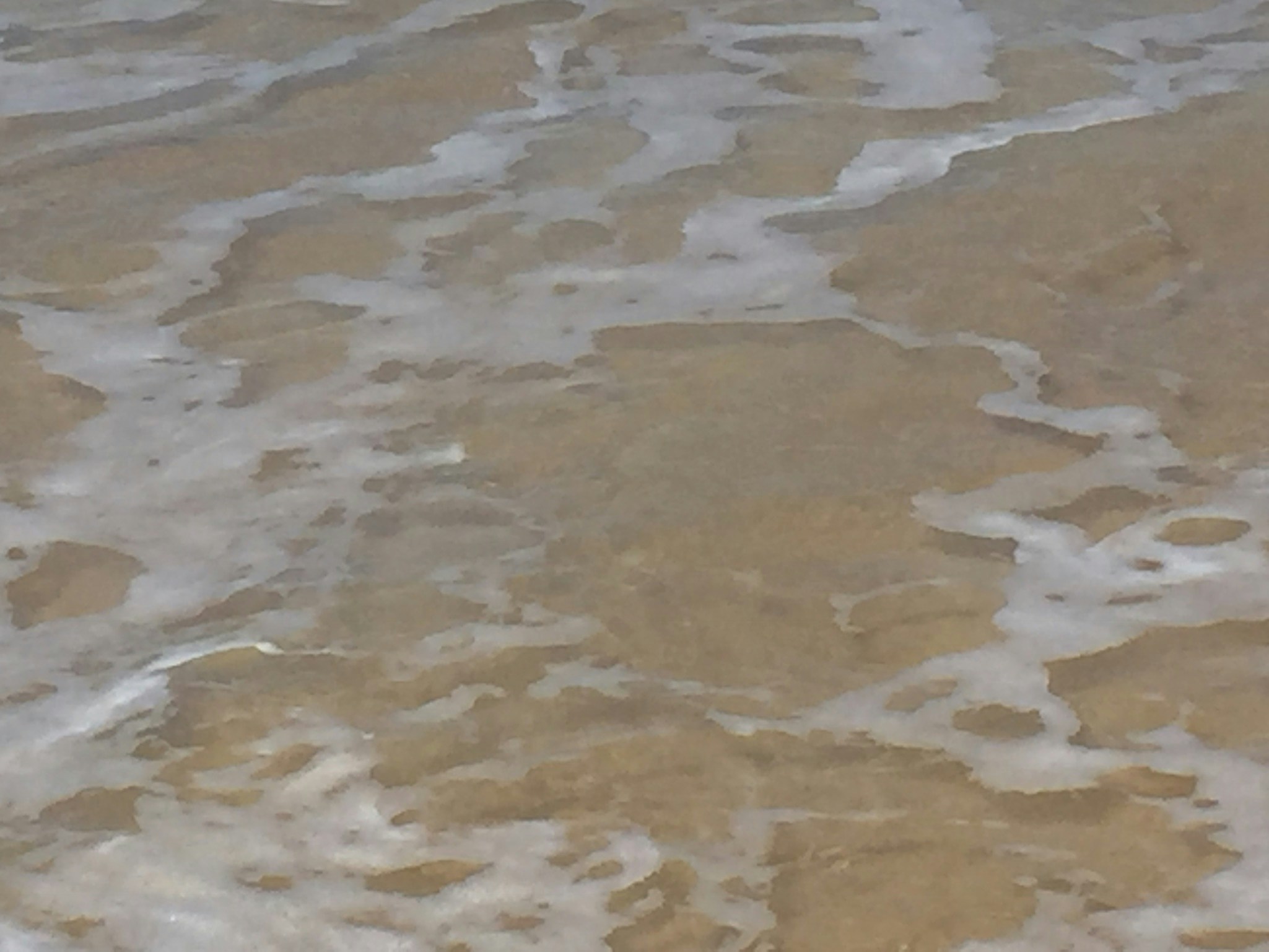 Free Unsplash photo from Bernardine Devine