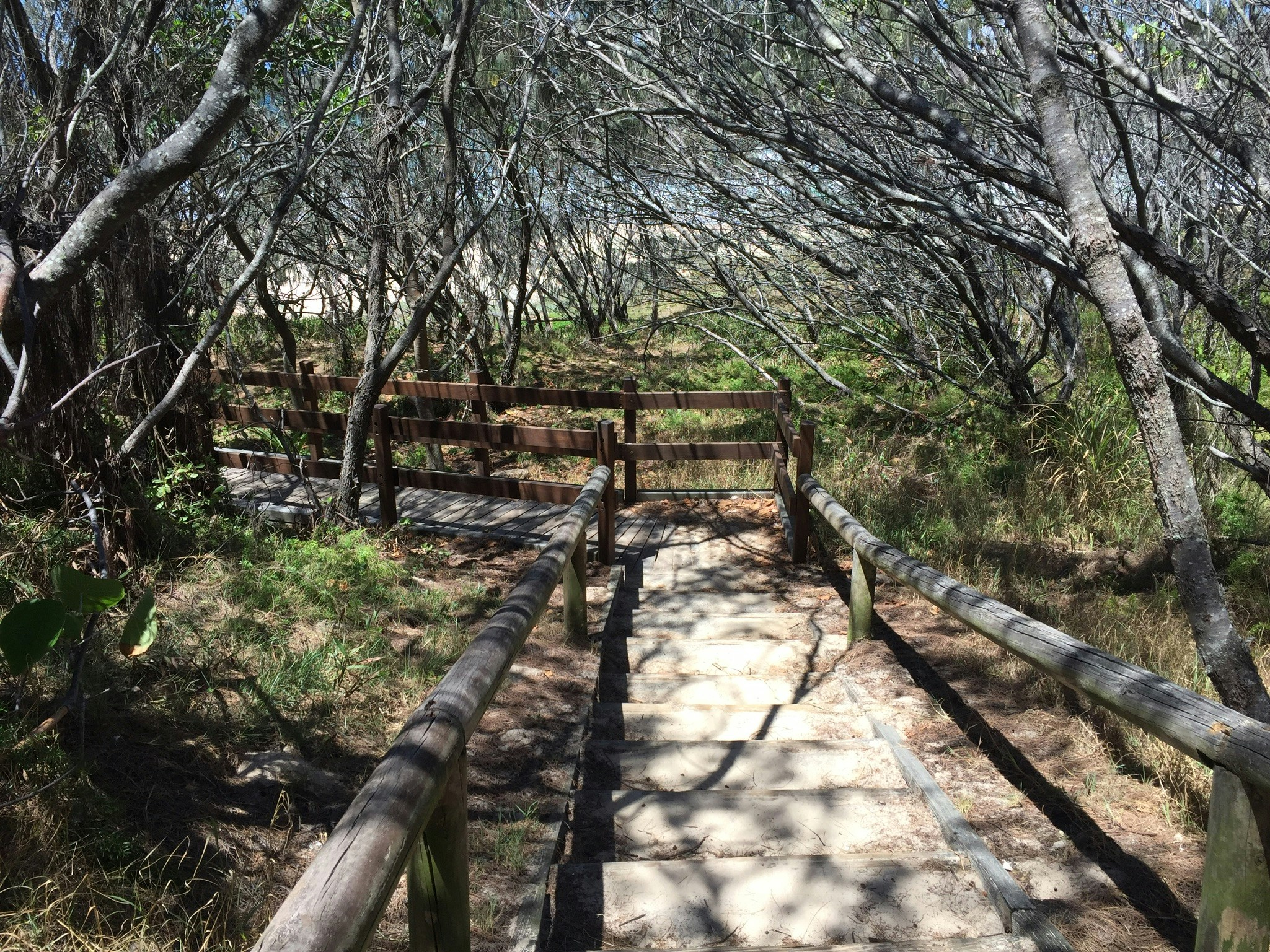 Free Unsplash photo from Bernardine Devine