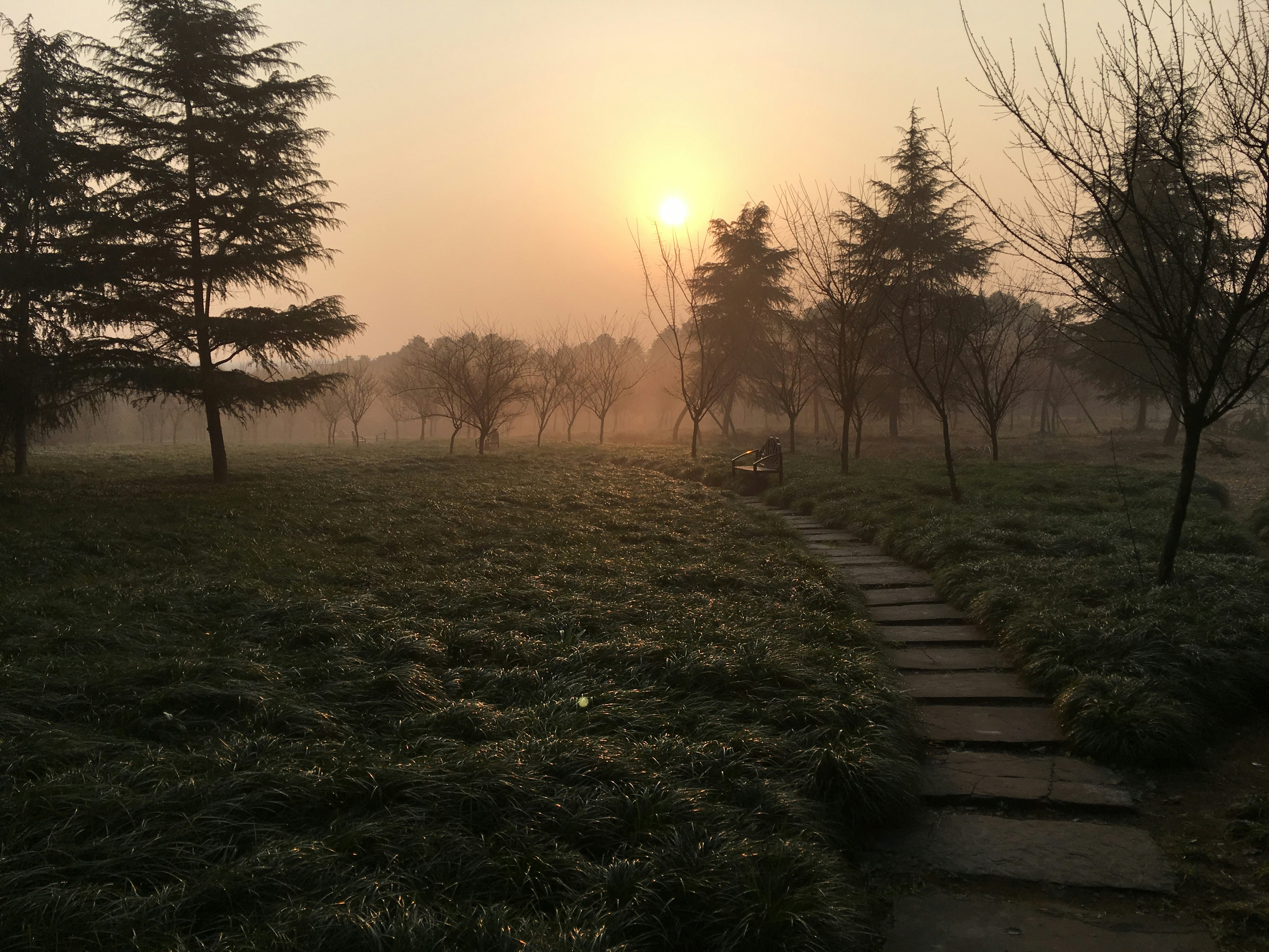 Free Unsplash photo from 泽新 李