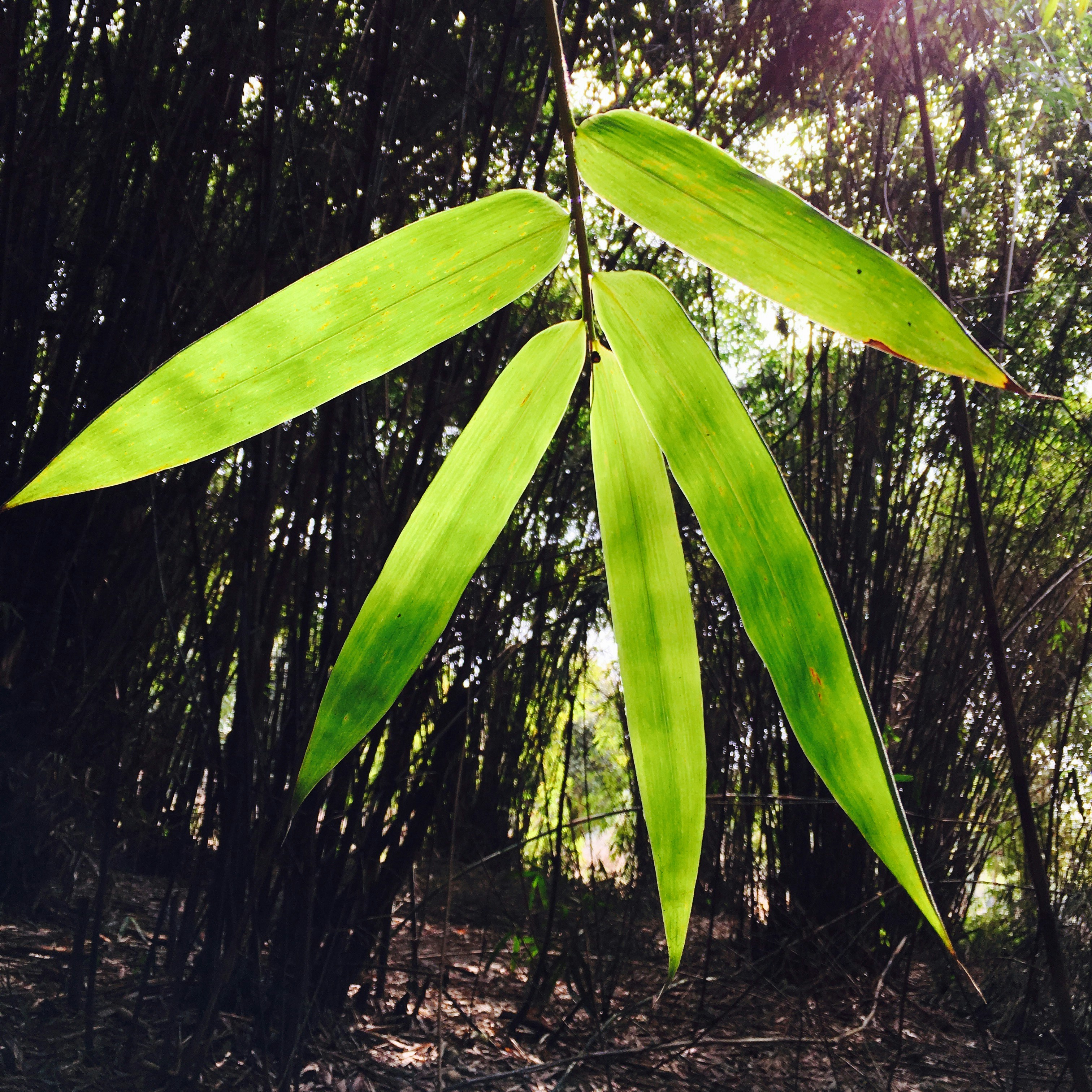 Free Unsplash photo from 泽新 李