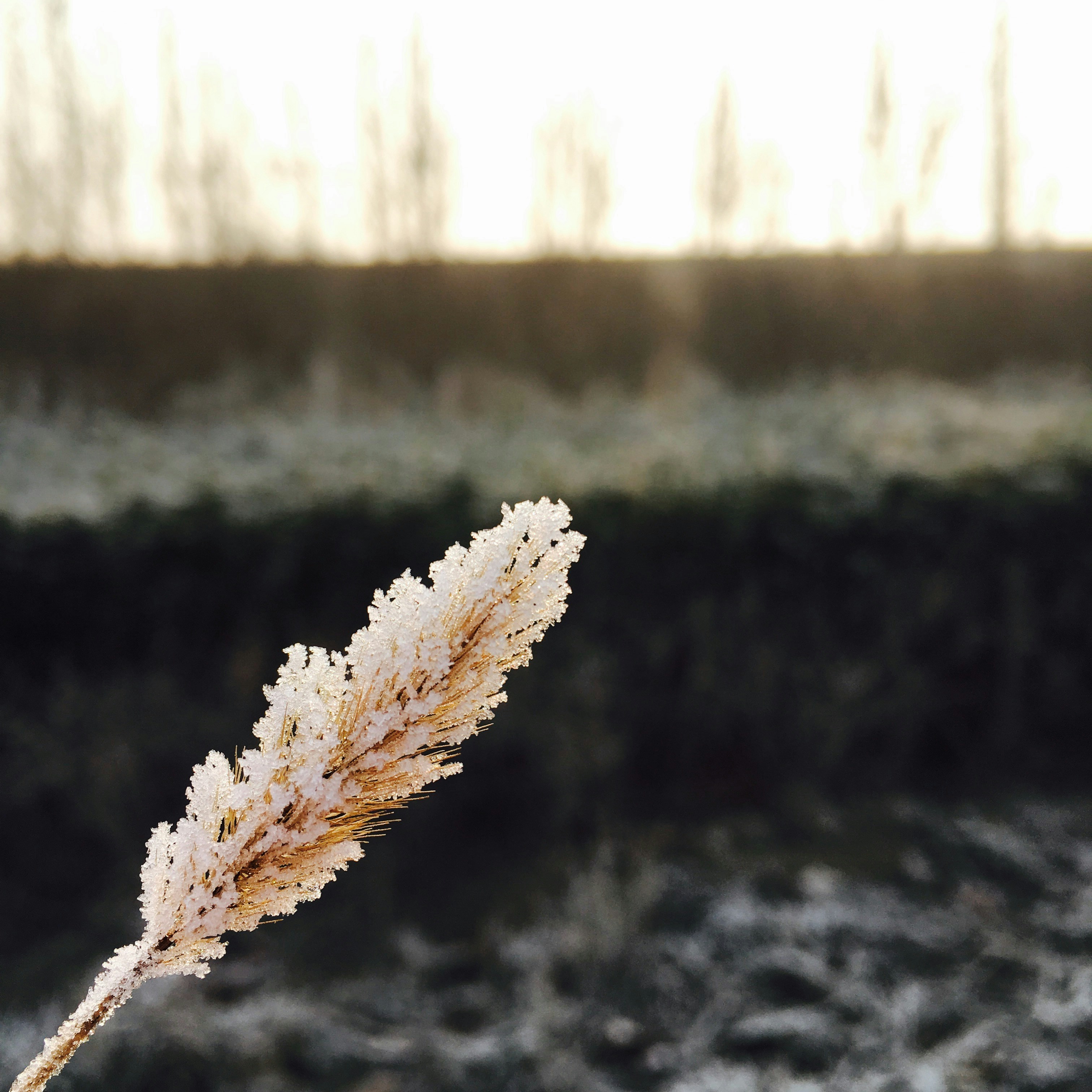 Free Unsplash photo from 泽新 李