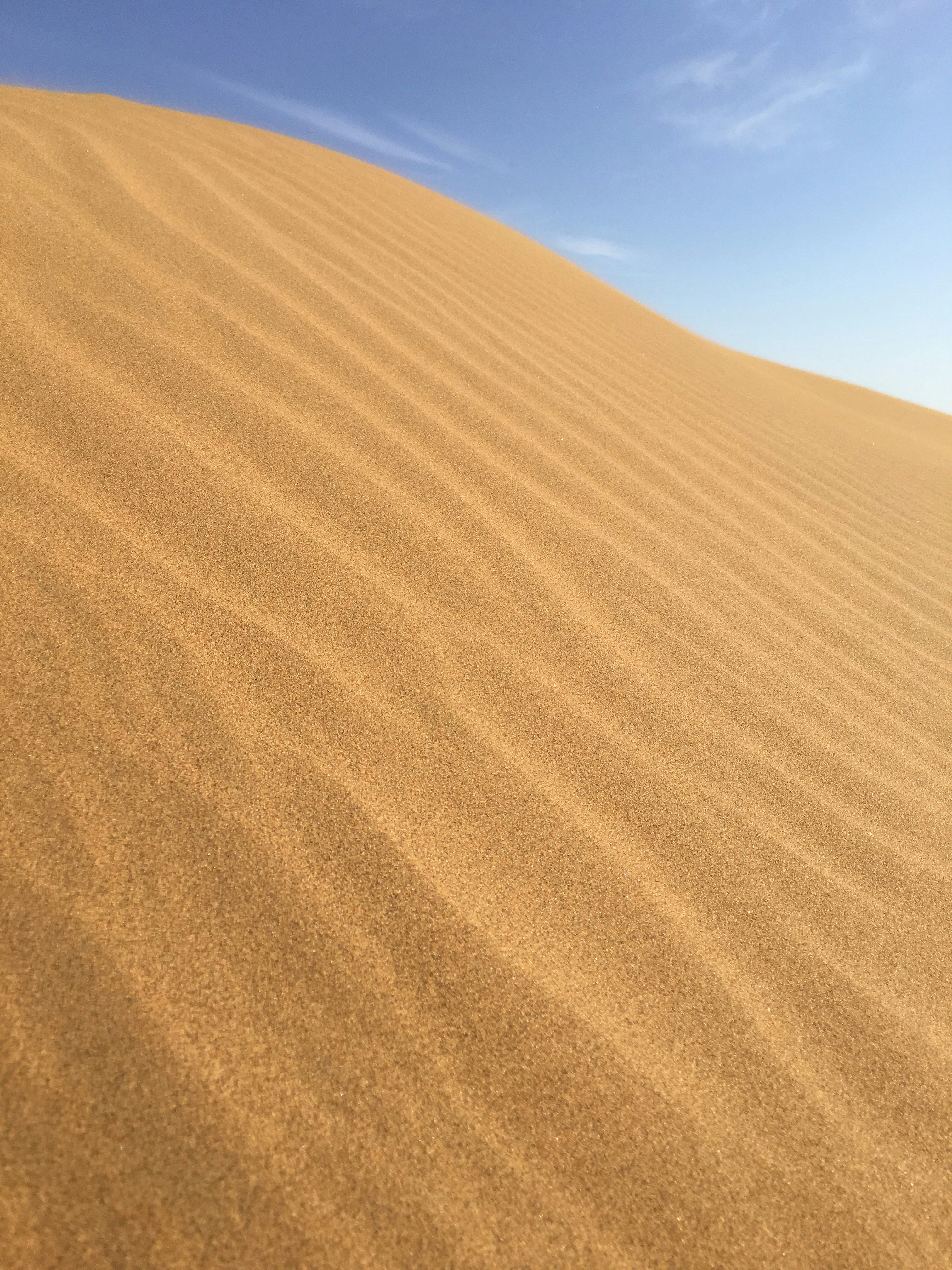 Free Unsplash photo from 泽新 李