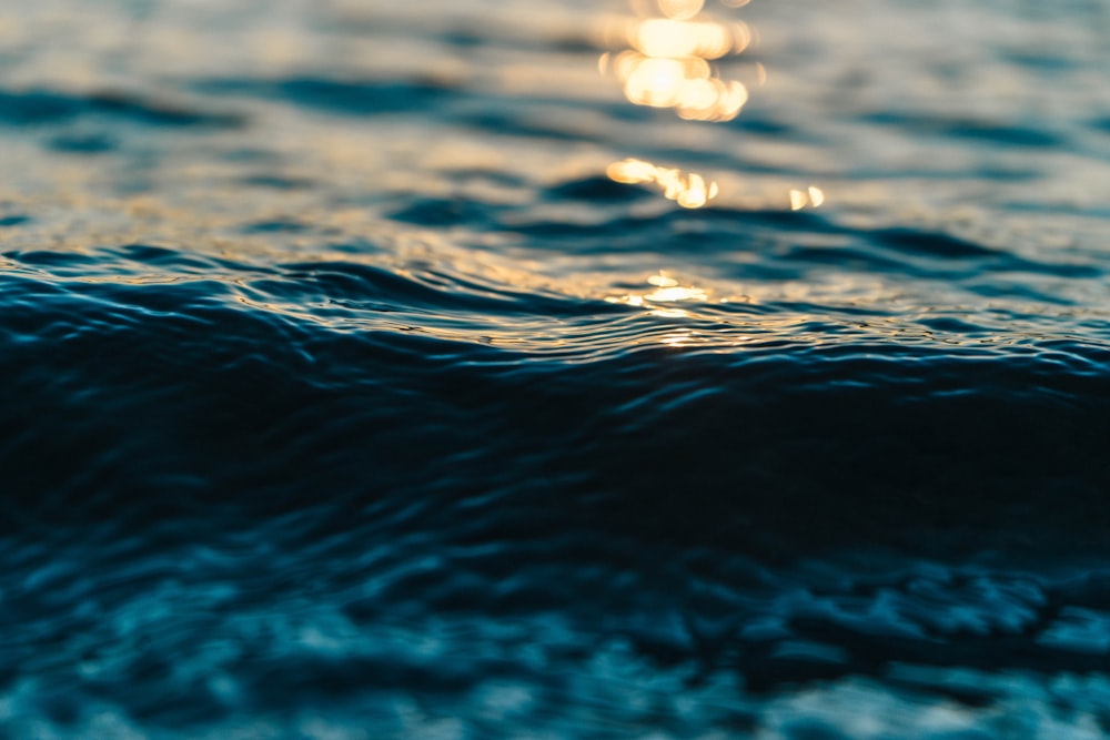Fotografía de primer plano de la reflexión de la luz del sol en el cuerpo de agua