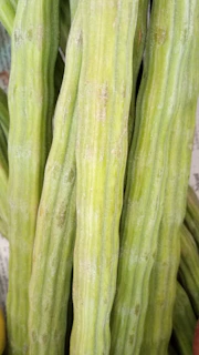 Moringa leaves and powder
