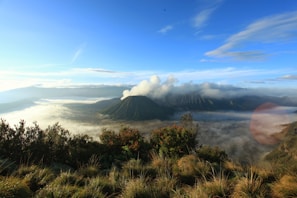 A scenic view of a vast landscape featuring a mountain range with a prominent volcano emitting white smoke surrounded by a sea of clouds. In the foreground, lush green vegetation is visible under a clear blue sky.