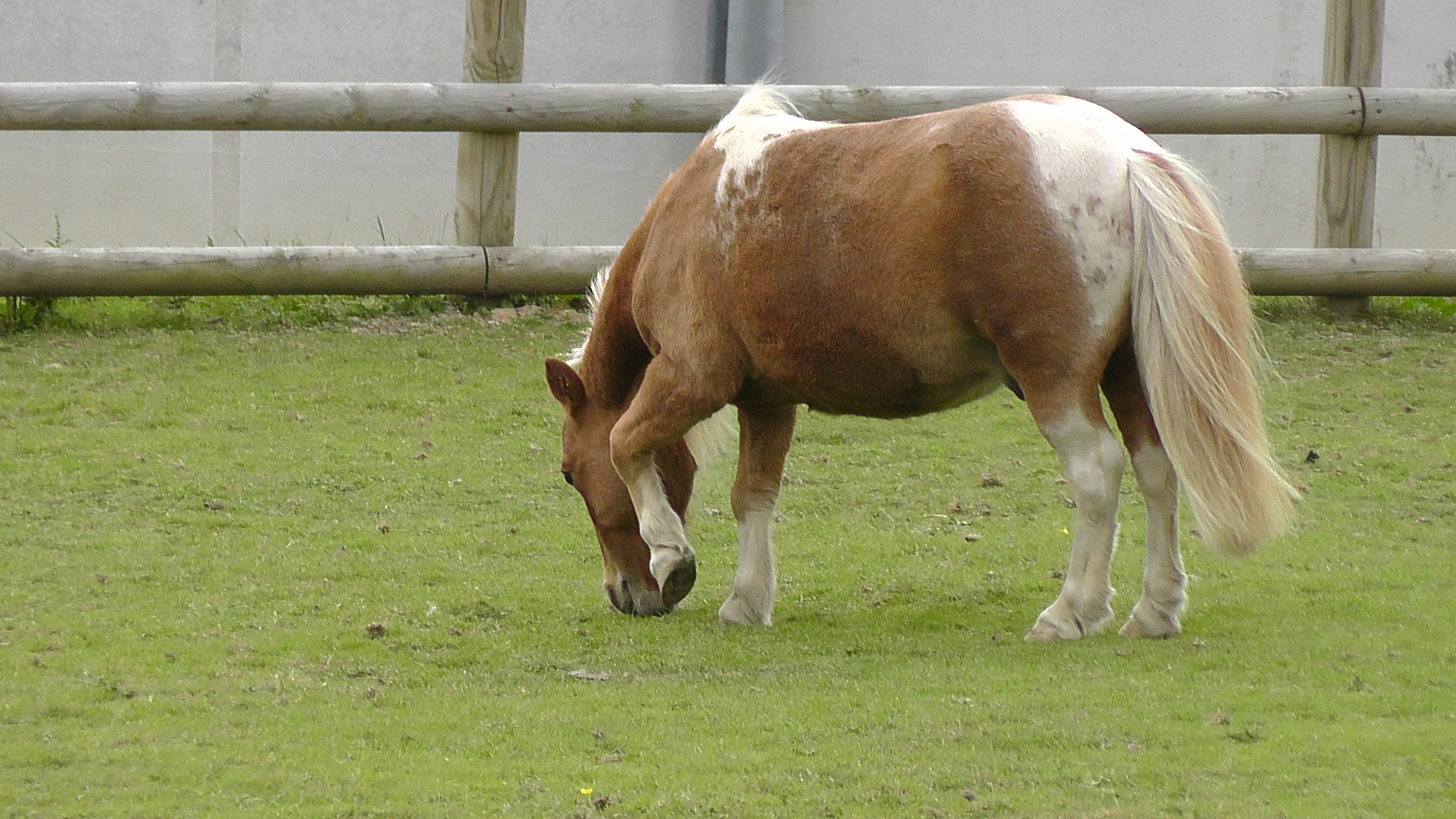 Free Unsplash photo from Wayne hankin