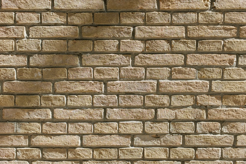 brown cinder brick wall