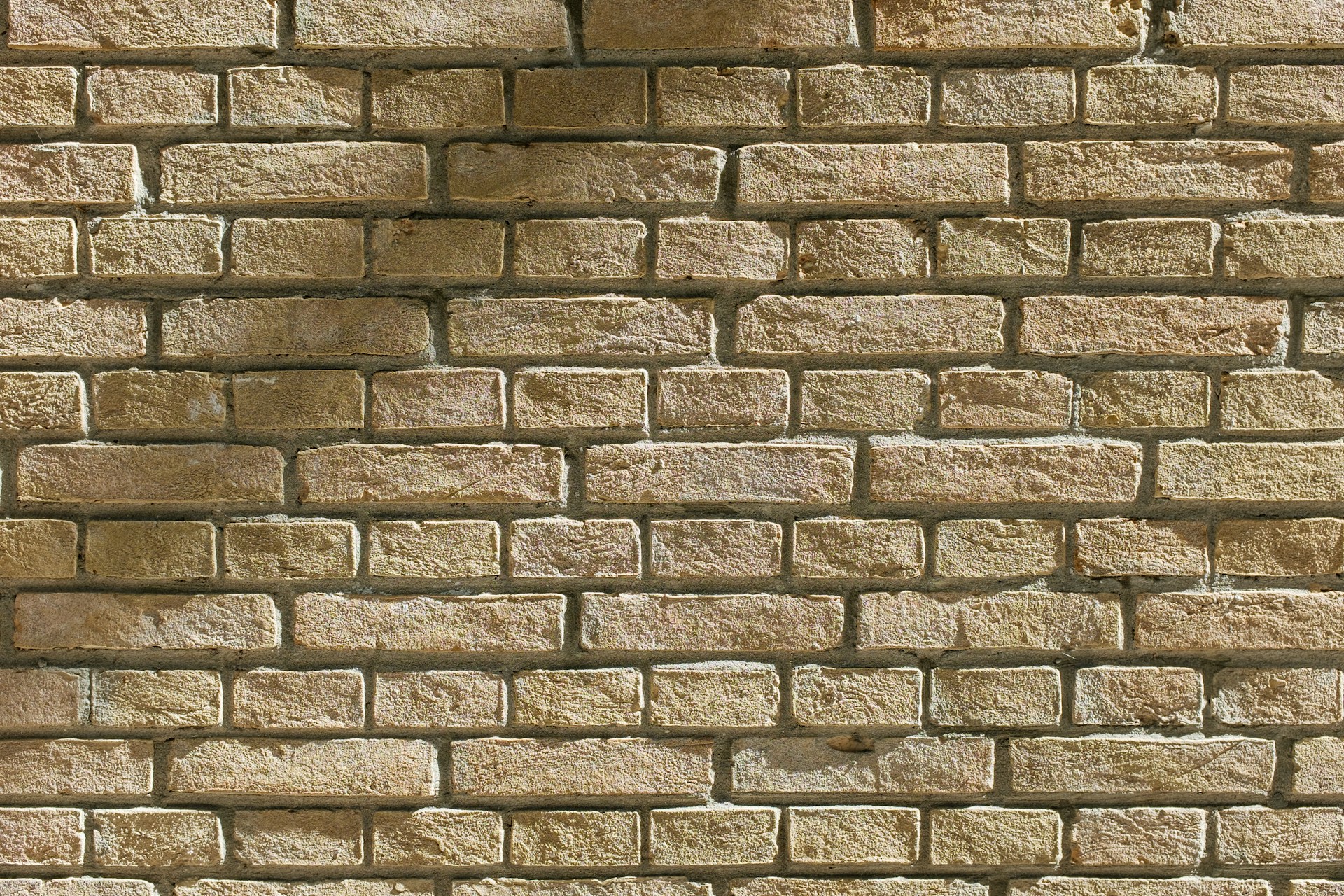 brown cinder brick wall