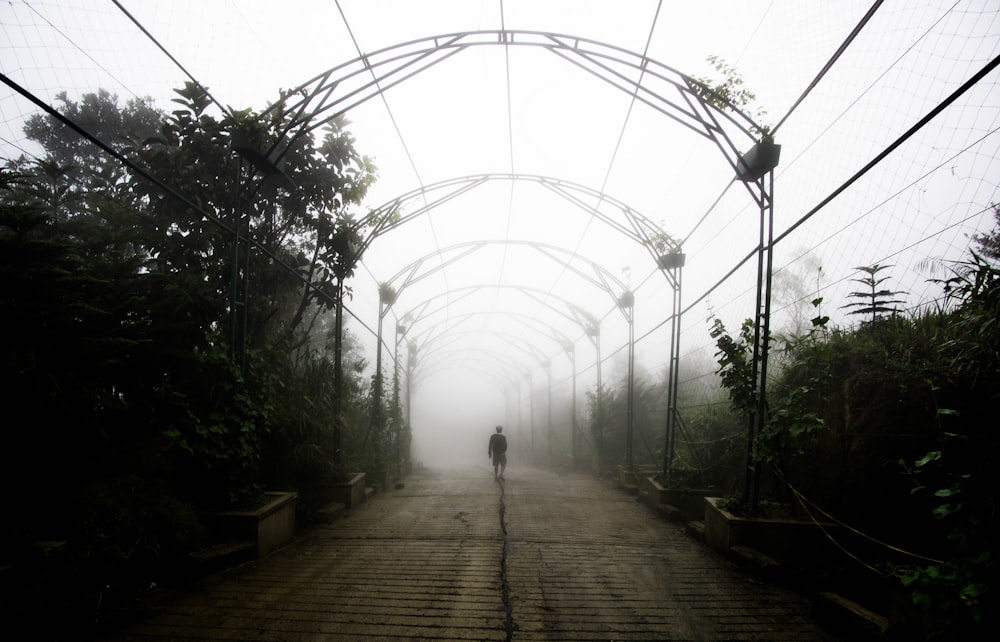 person standing in arch pathway surrounded by trees during daytime