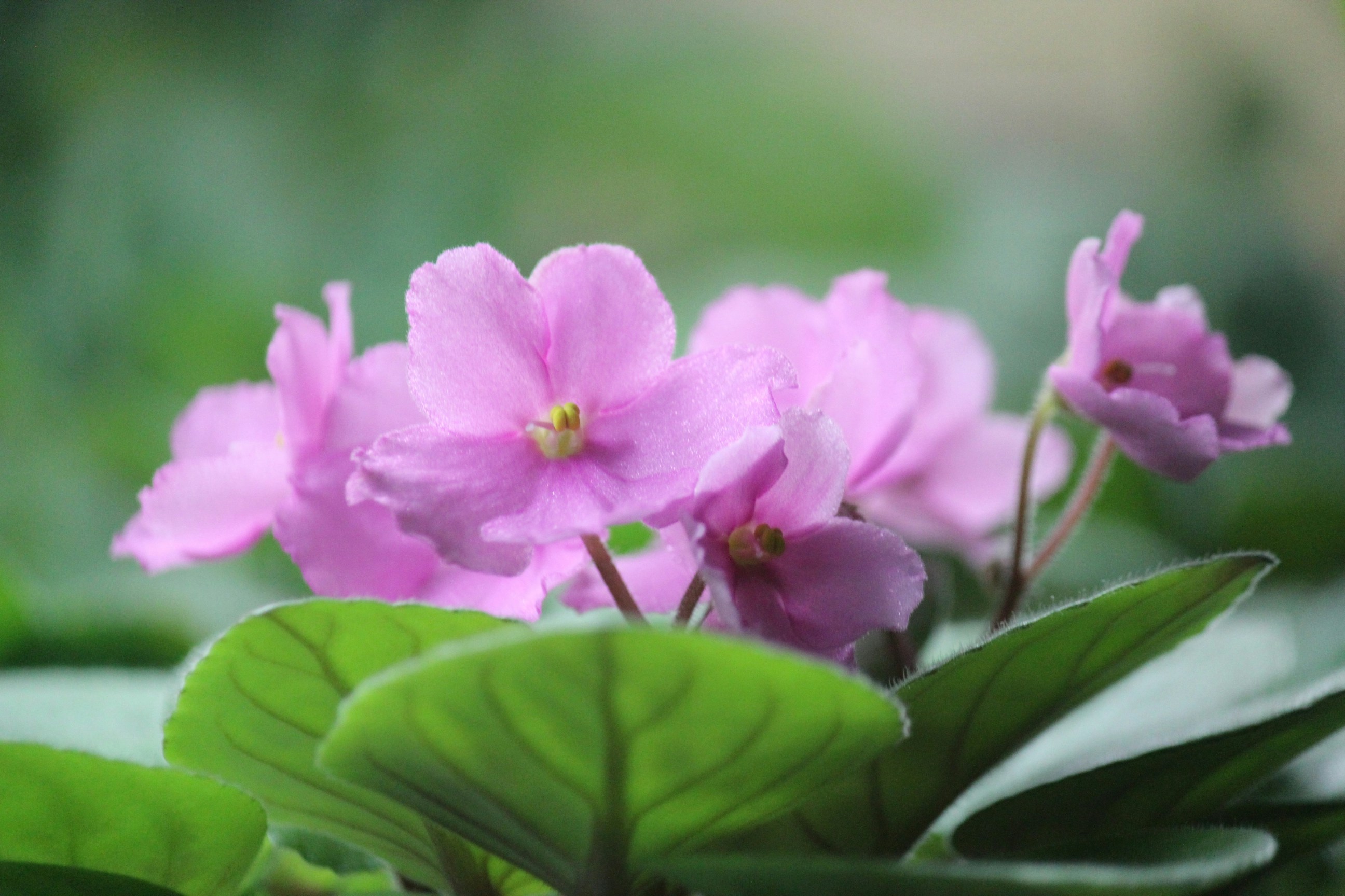 Free Unsplash photo from Andrey Klimov