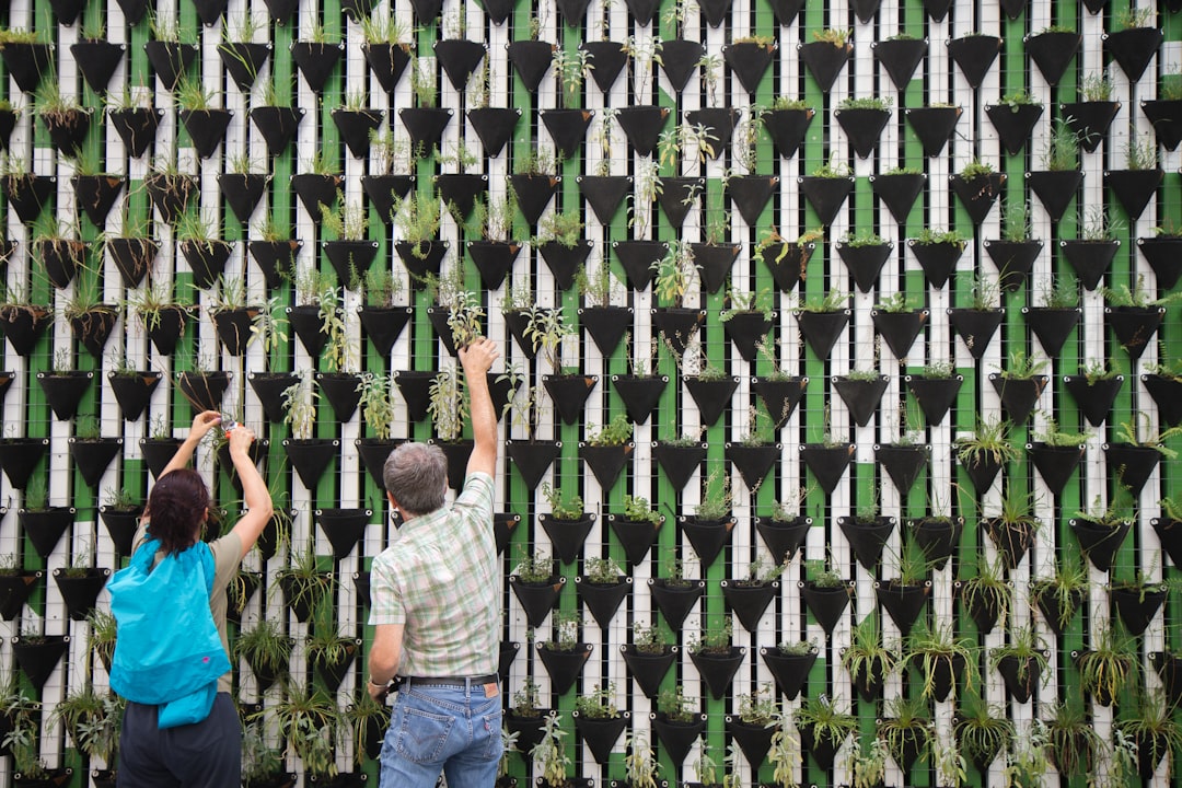 person planting on hanged pots,