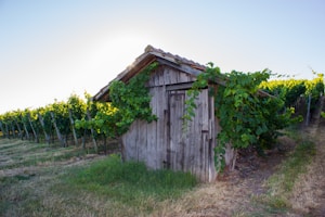 Estate Reserve Pinot Noir