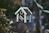 closeup photo of red and white bird house