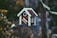 closeup photo of red and white bird house