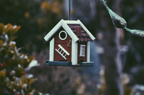 Domestic Insurance
