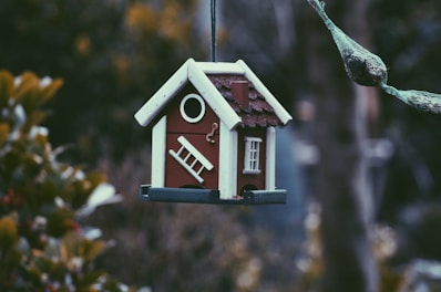 closeup photo of red and white bird house