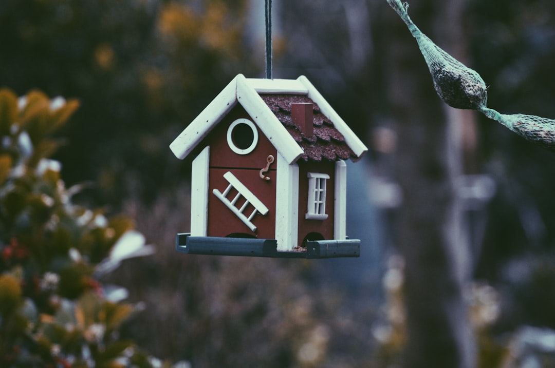 Assurance habitation pour étudiant : ce qu'il faut savoir