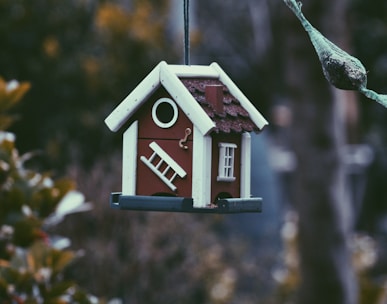 closeup photo of red and white bird house